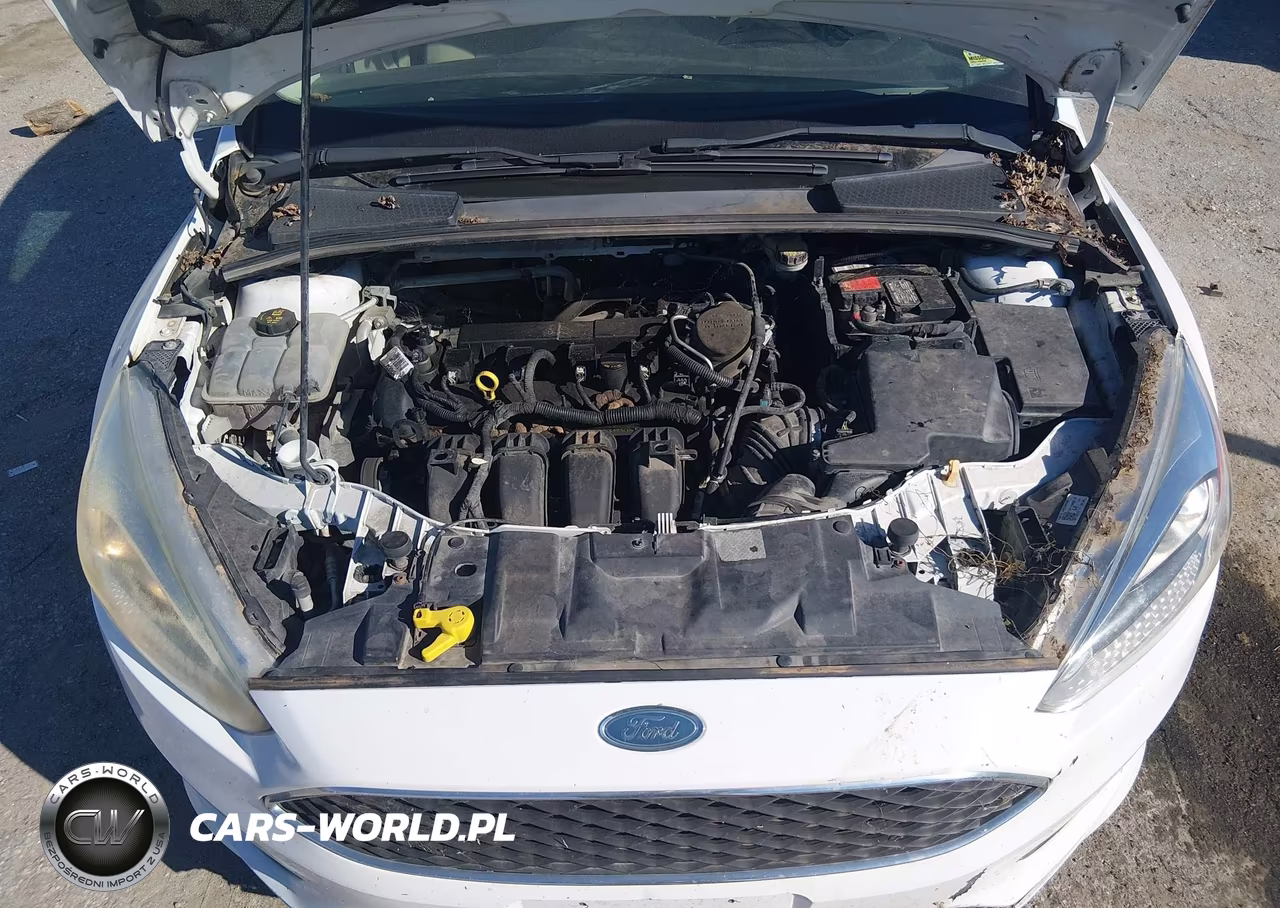 2015 Ford Focus Se VIN:1FADP3F28FL313835 - 10