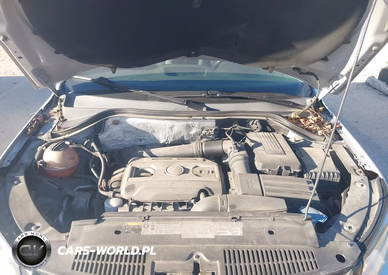 2013 Volkswagen Tiguan Se VIN:WVGBV3AX5DW565740 - 10