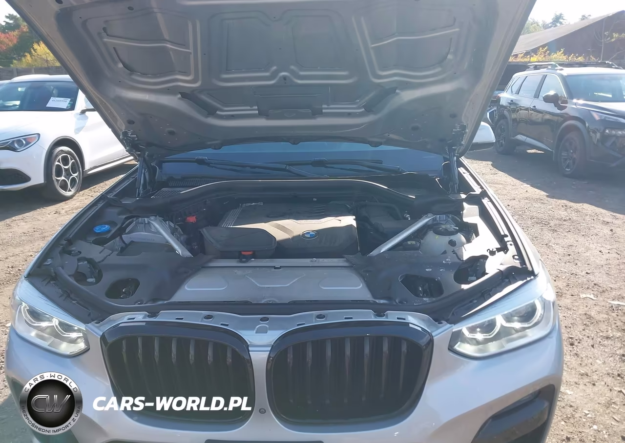 2021 BMW X3 xDrive30I VIN:5UXTY5C08M9F94516 - 10