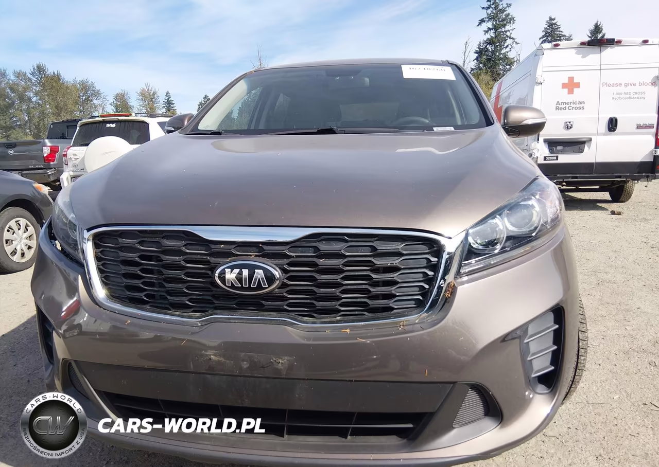 2019 Kia Sorento 3.3L Lx VIN:5XYPGDA54KG447827 - 13
