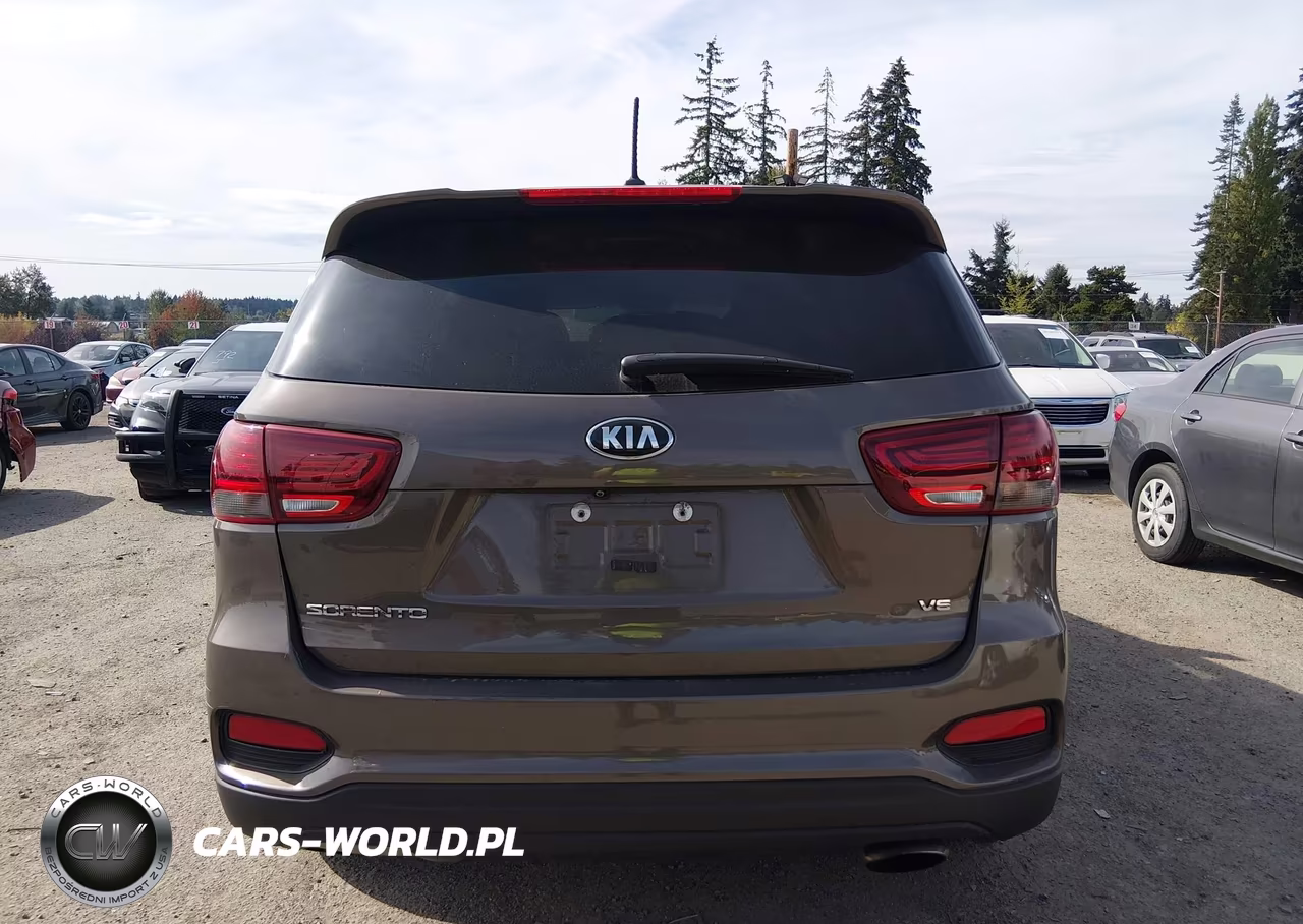 2019 Kia Sorento 3.3L Lx VIN:5XYPGDA54KG447827 - 17