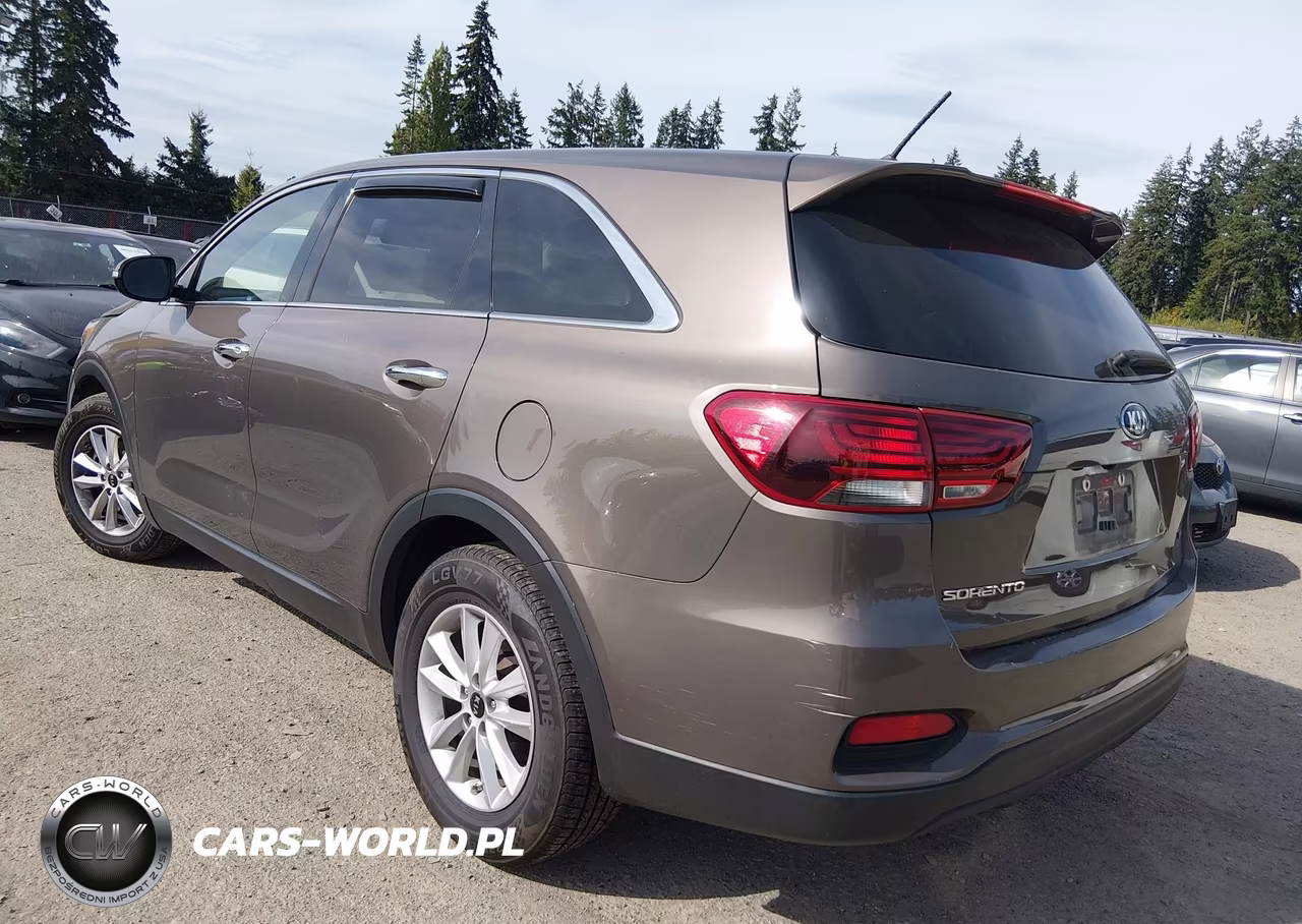 2019 Kia Sorento 3.3L Lx VIN:5XYPGDA54KG447827 - 3