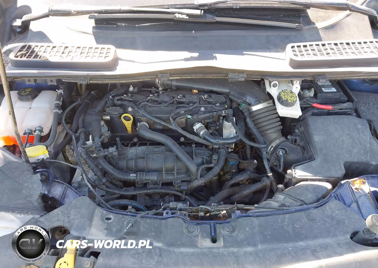 2014 Ford Escape Se VIN:1FMCU0GX4EUB51701 - 10