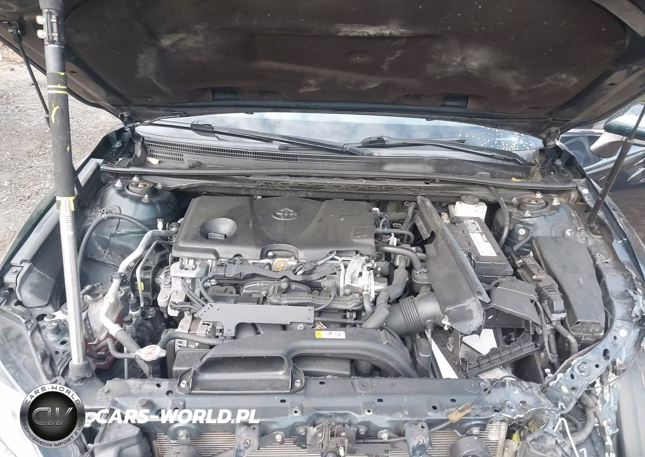 2019 Toyota Camry Se VIN:4T1B11HK0KU687358 - 10