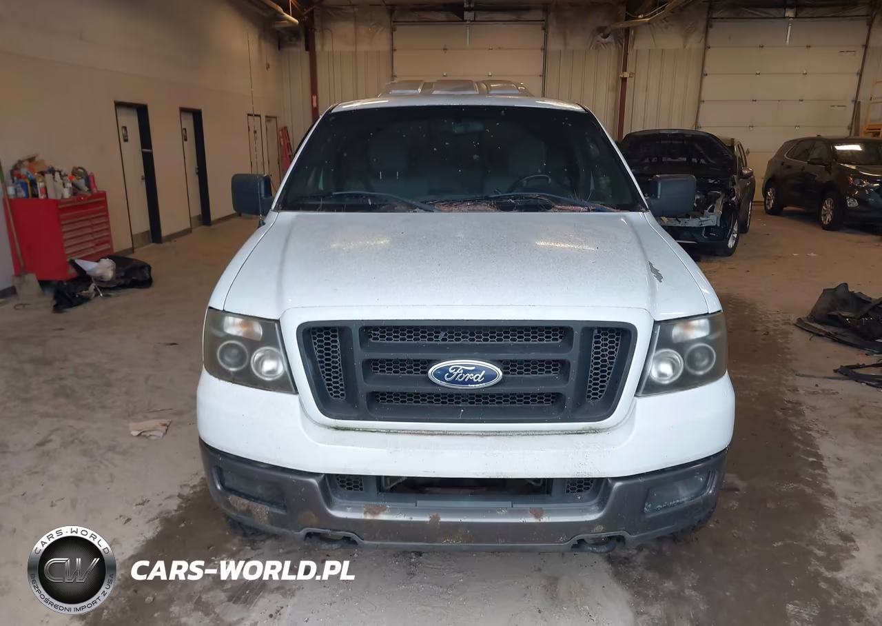 2005 Ford F-150 Fx4-Lariat-Xl-Xlt VIN:1FTPX14525NA31766 - 6