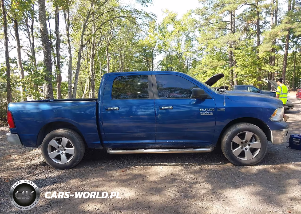 2009 Dodge Ram 1500 Slt-Sport-Trx VIN:1D3HV13T99S775535 - 13