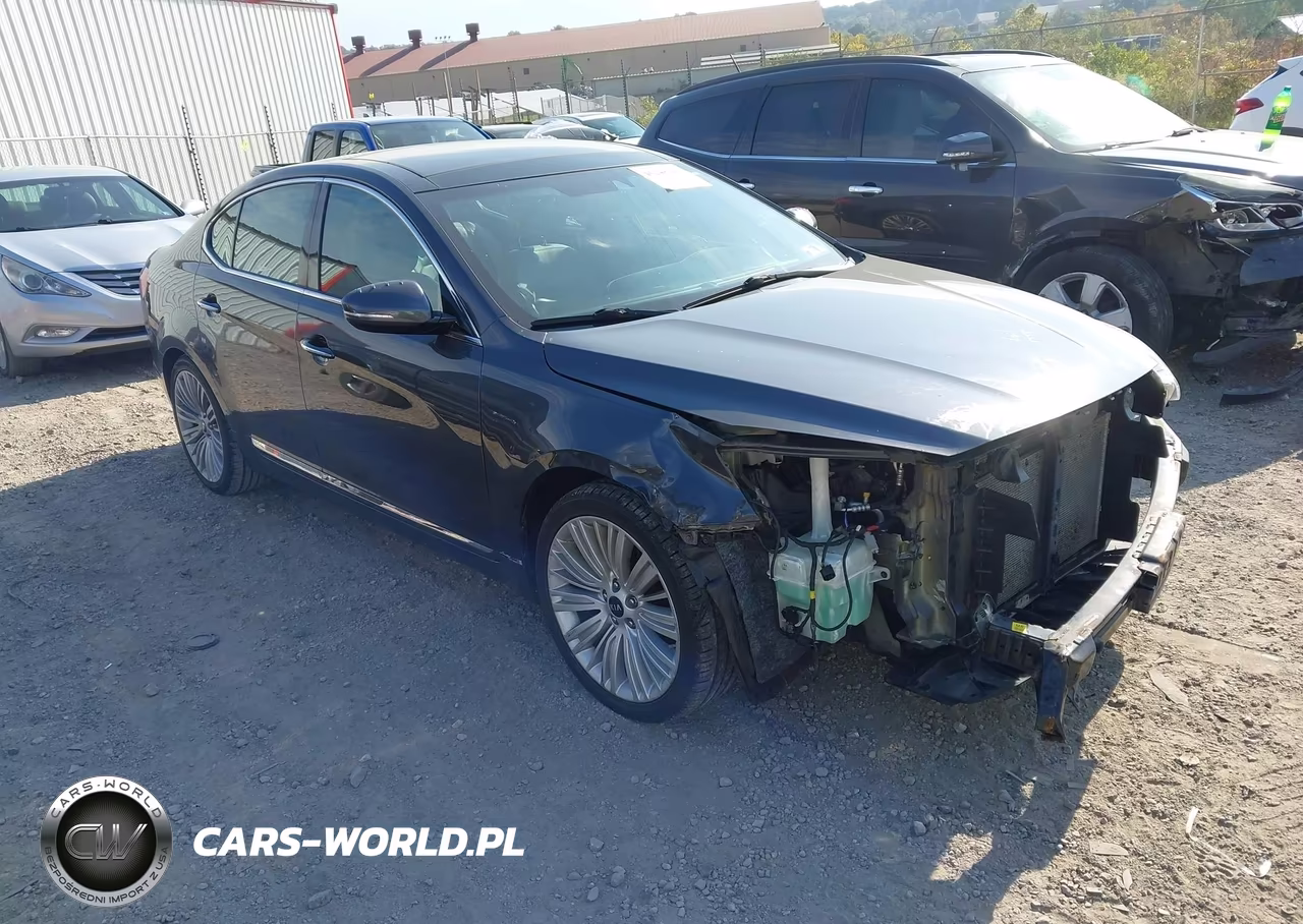 2014 Kia Cadenza Limited VIN:KNALN4D77E5155844 - 1