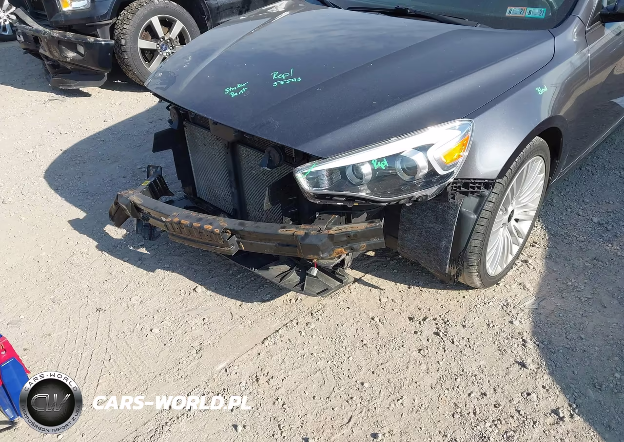 2014 Kia Cadenza Limited VIN:KNALN4D77E5155844 - 12