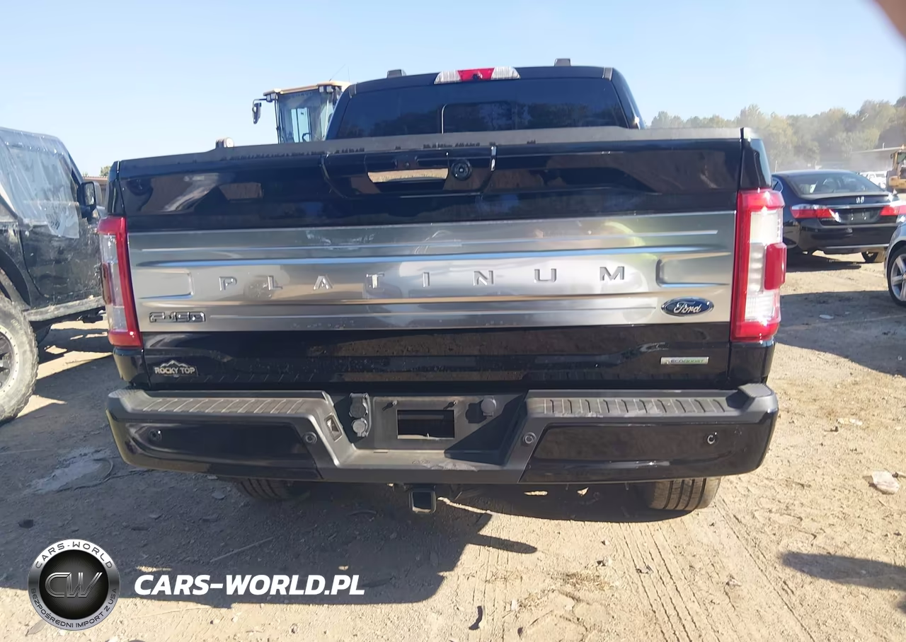 2022 Ford F-150 Platinum VIN:1FTFW1E81NFA40430 - 17