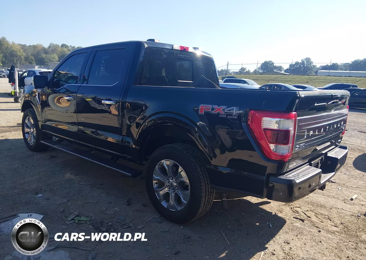 2022 Ford F-150 Platinum VIN:1FTFW1E81NFA40430 - 3