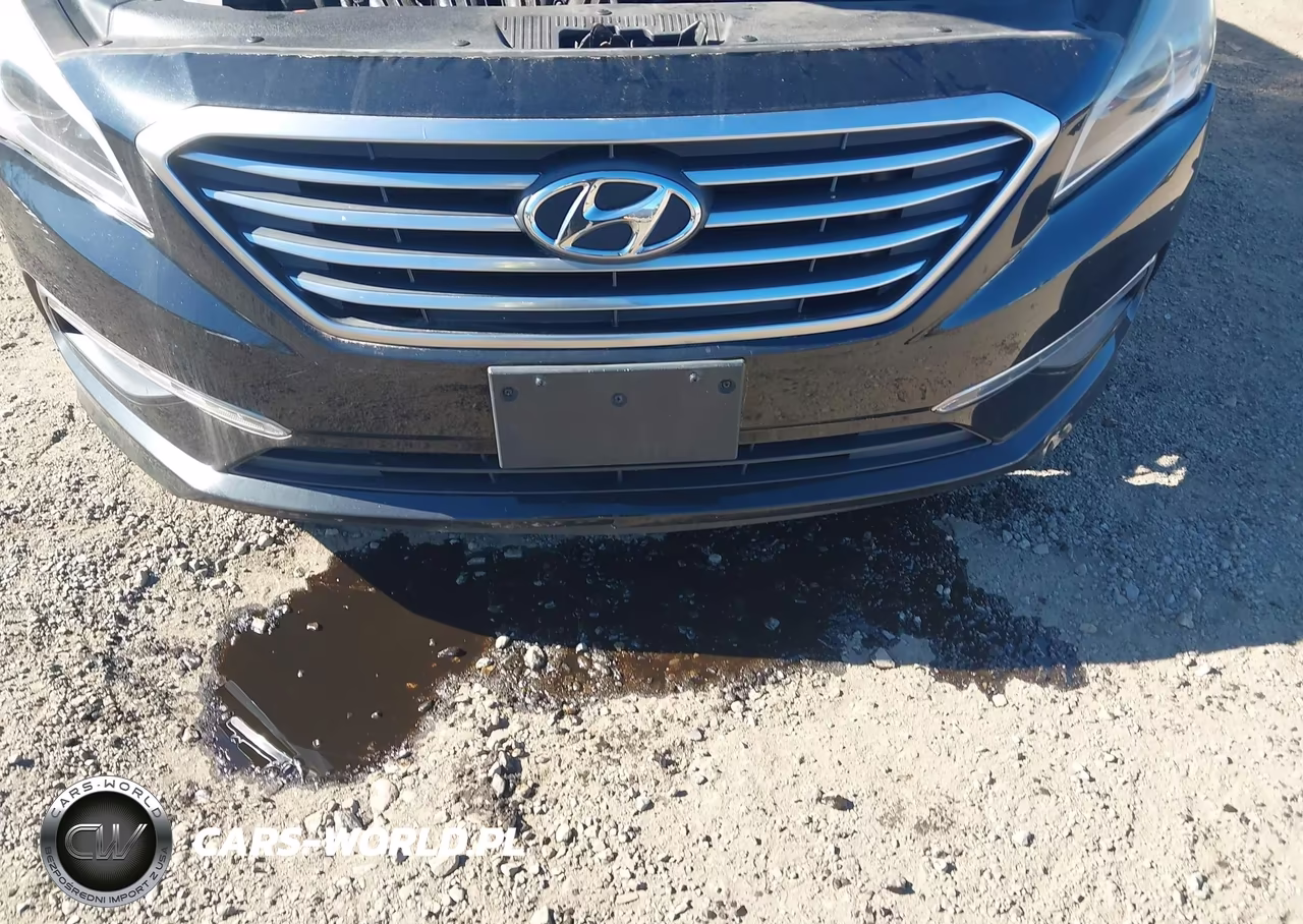 2015 Hyundai Sonata Se VIN:5NPE24AF2FH223159 - 13