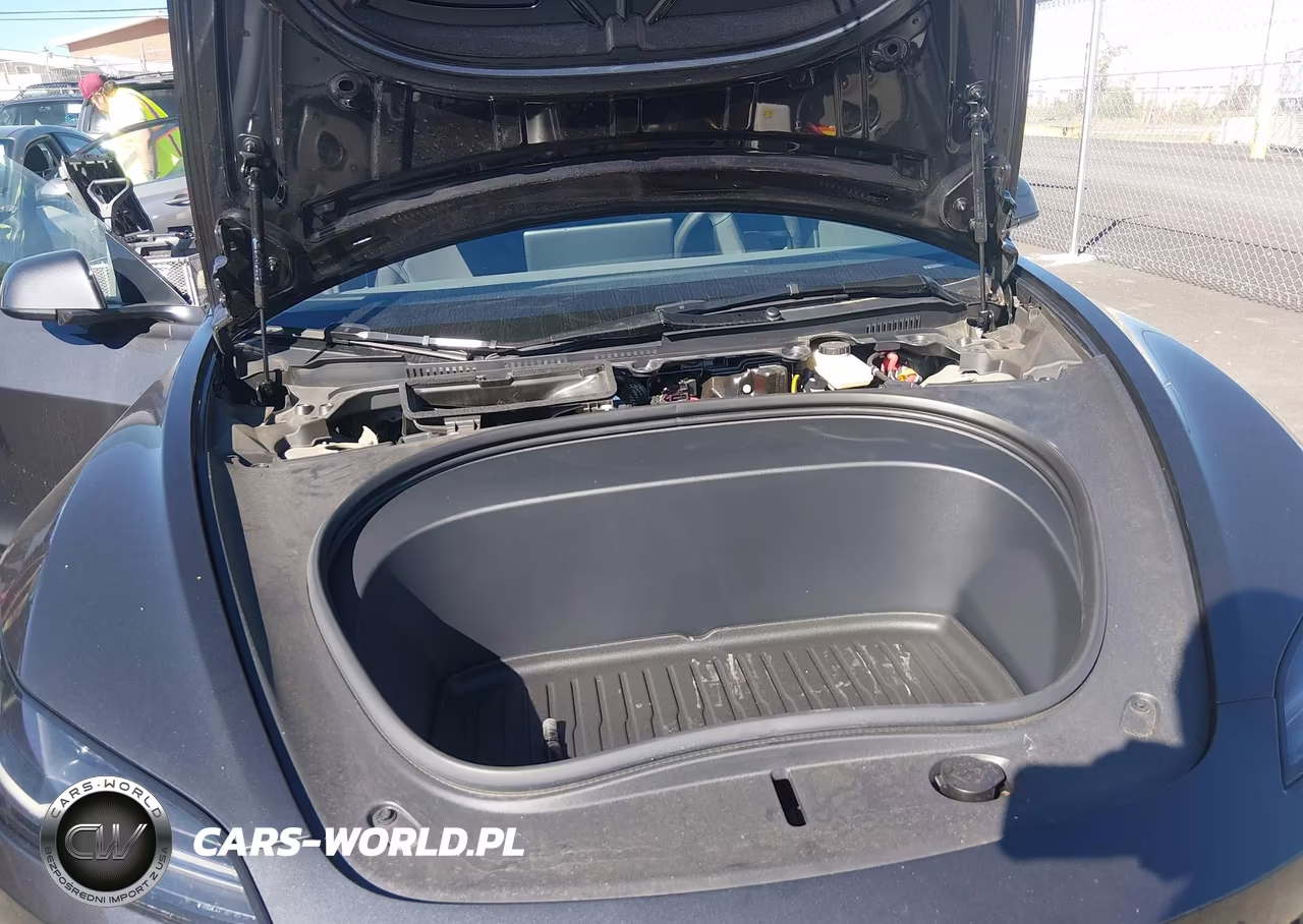 2025 Tesla Model 3 VIN:5YJ3E1EA1SF066258 - 10