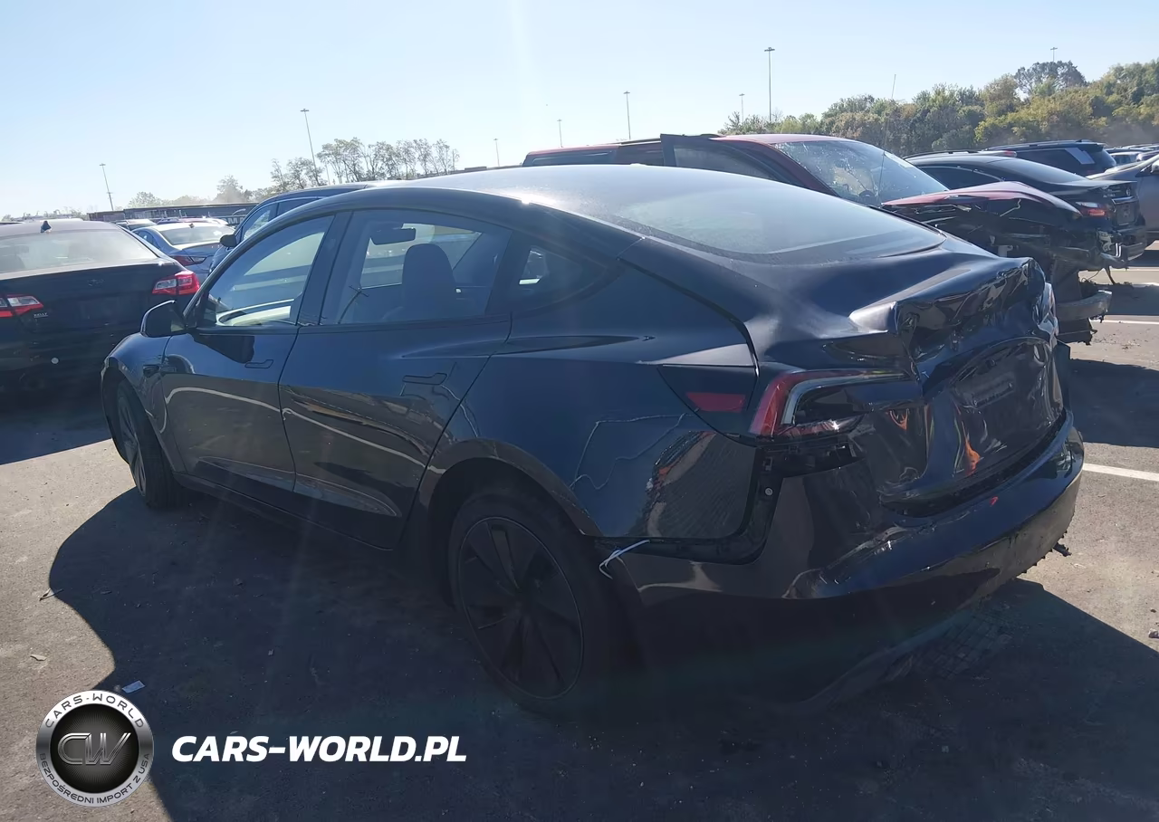 2025 Tesla Model 3 VIN:5YJ3E1EA1SF066258 - 3