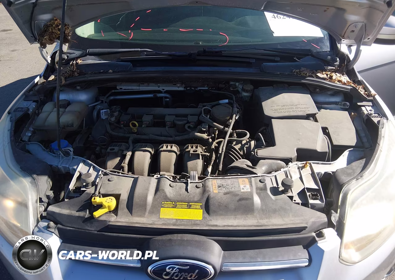 2014 Ford Focus Se VIN:1FADP3K28EL302936 - 10