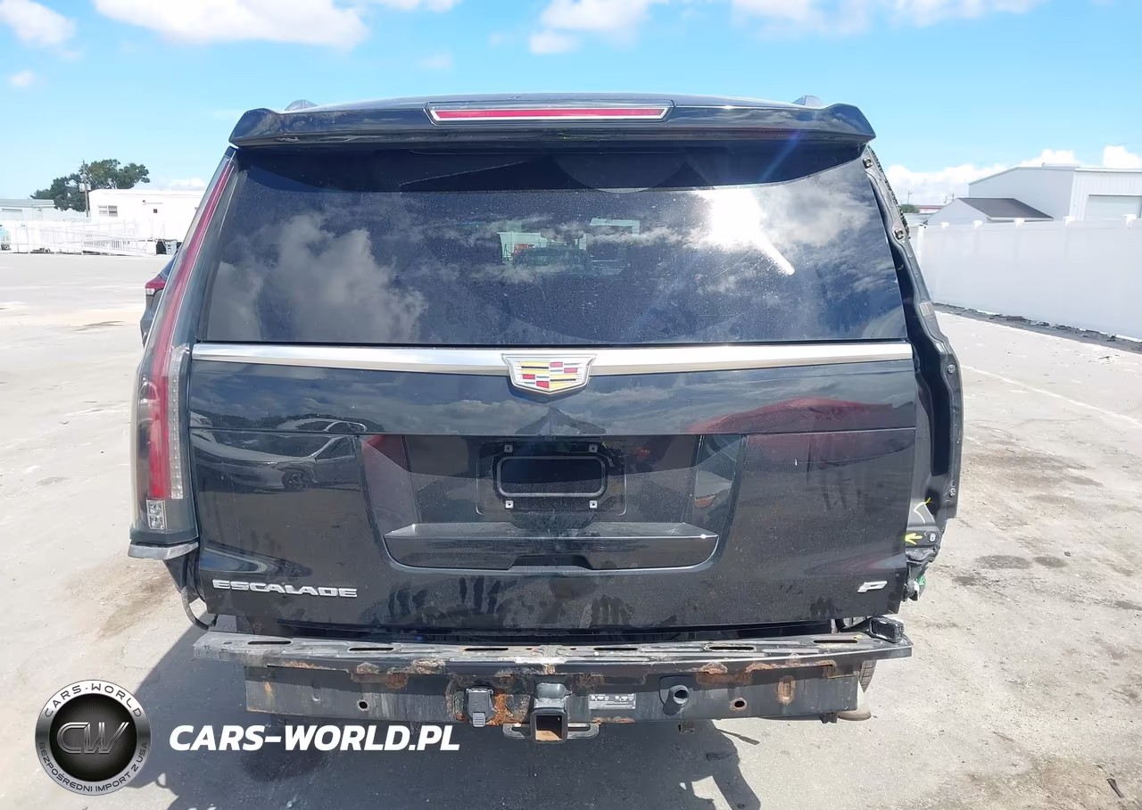 2015 Cadillac Escalade Esv Platinum VIN:1GYS4UKJXFR566319 - 17
