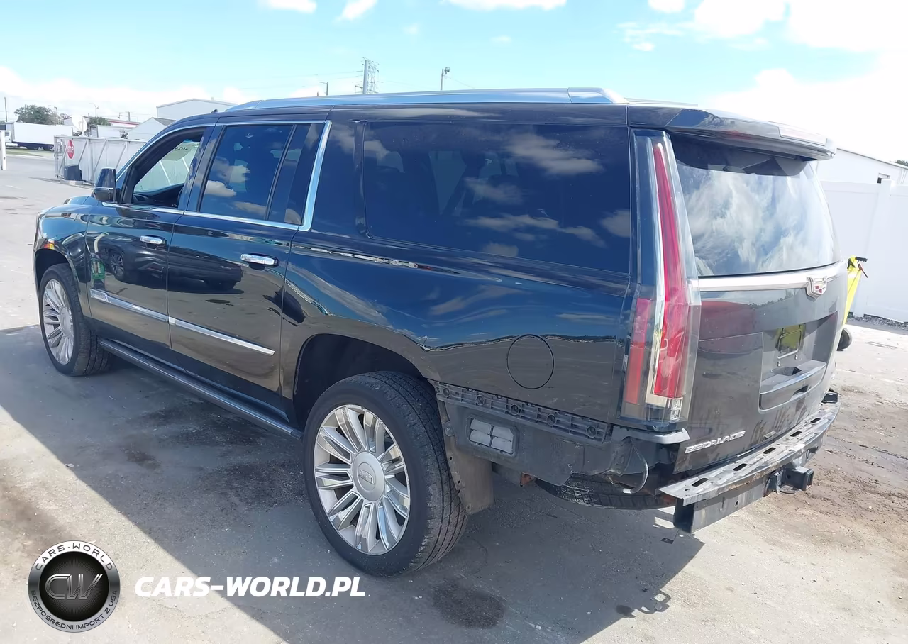 2015 Cadillac Escalade Esv Platinum VIN:1GYS4UKJXFR566319 - 3