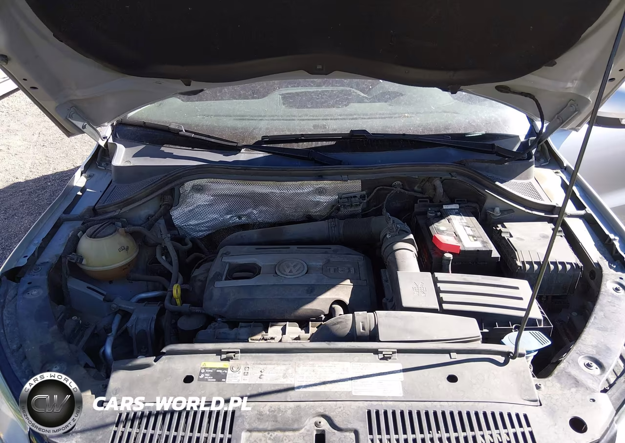 2014 Volkswagen Tiguan Sel VIN:WVGBV3AX4EW581588 - 10
