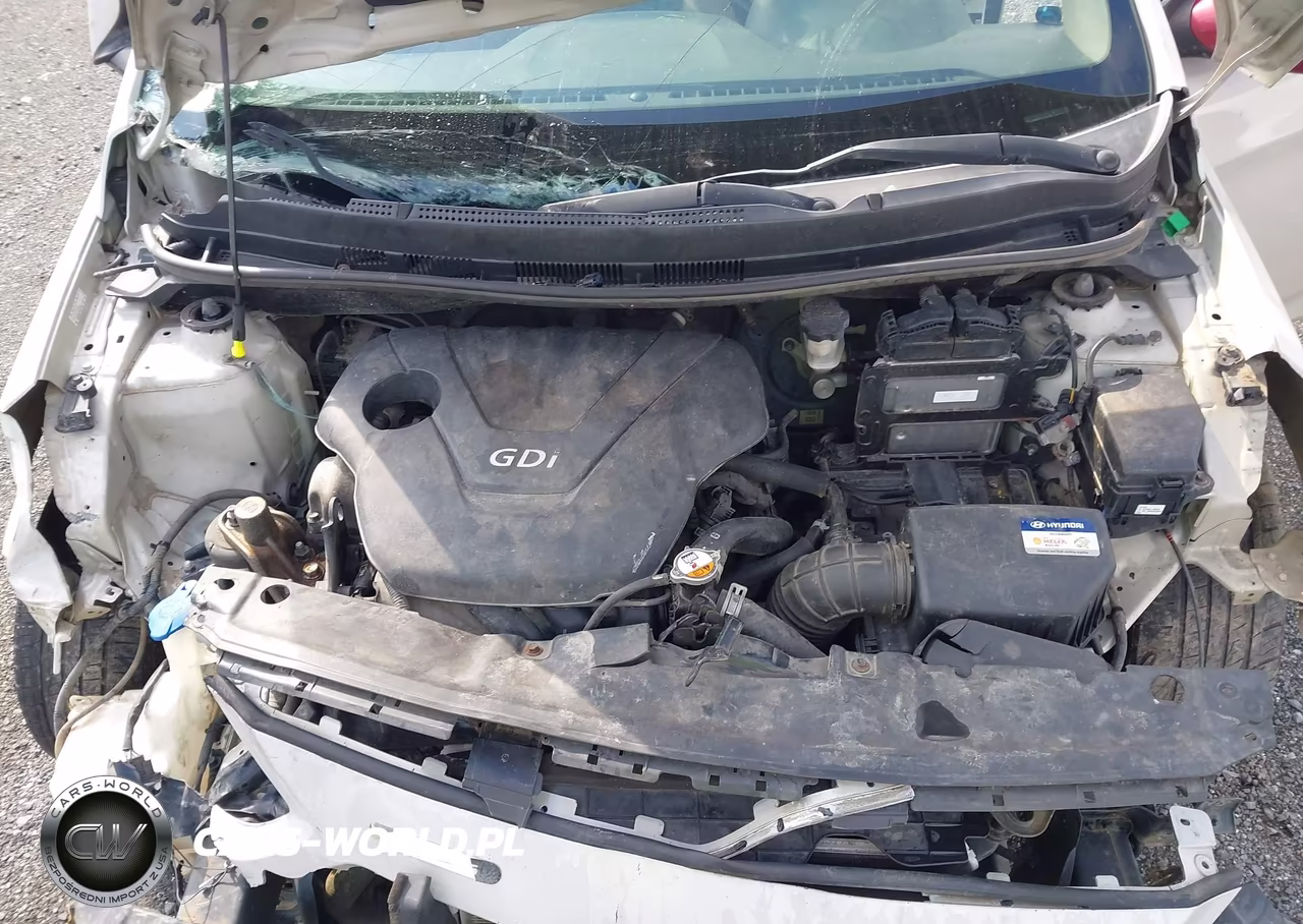 2016 Hyundai Accent Se VIN:KMHCT4AE9GU119802 - 10