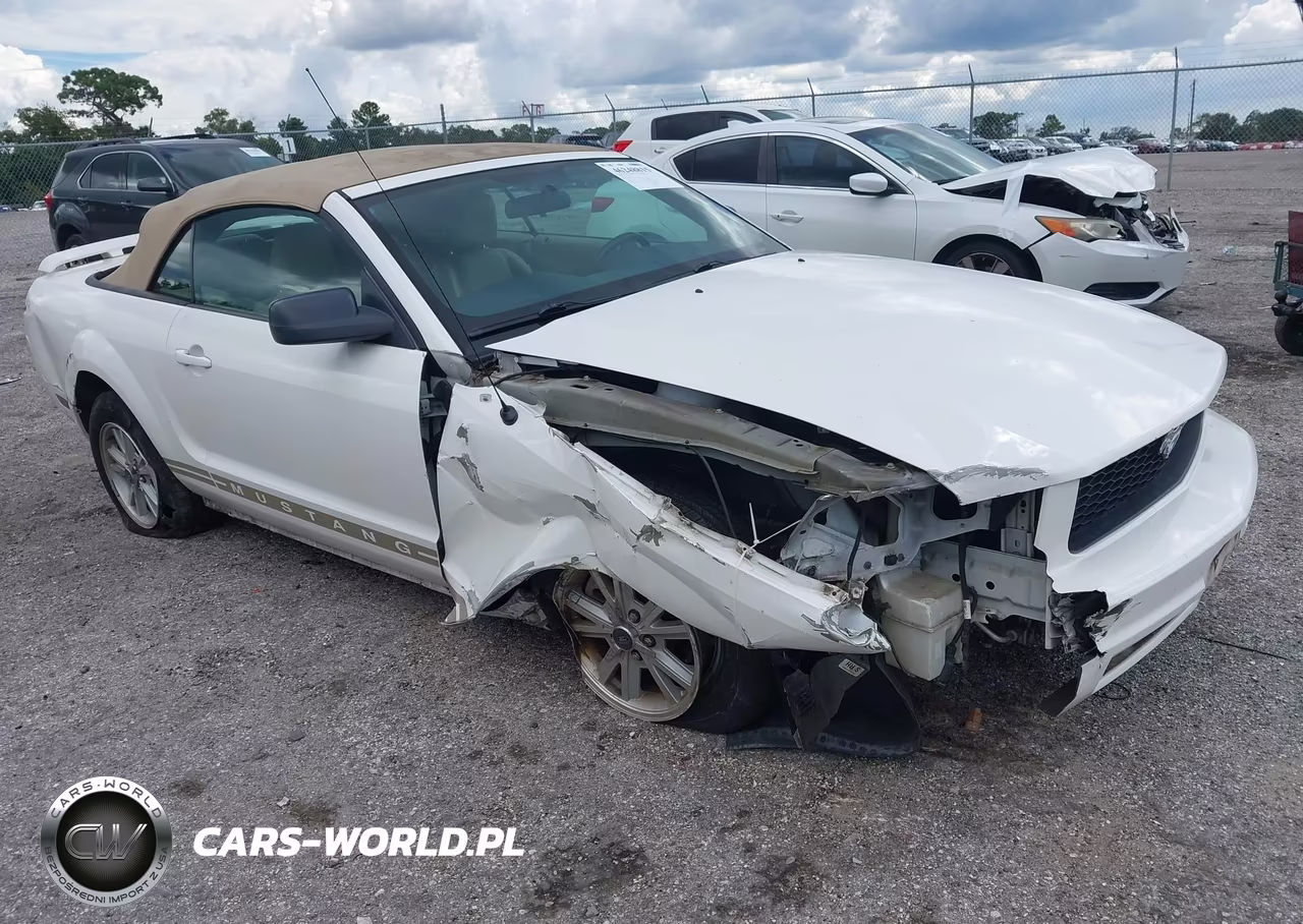 2006 Ford Mustang V6 VIN:1ZVFT84N665127110 - 1