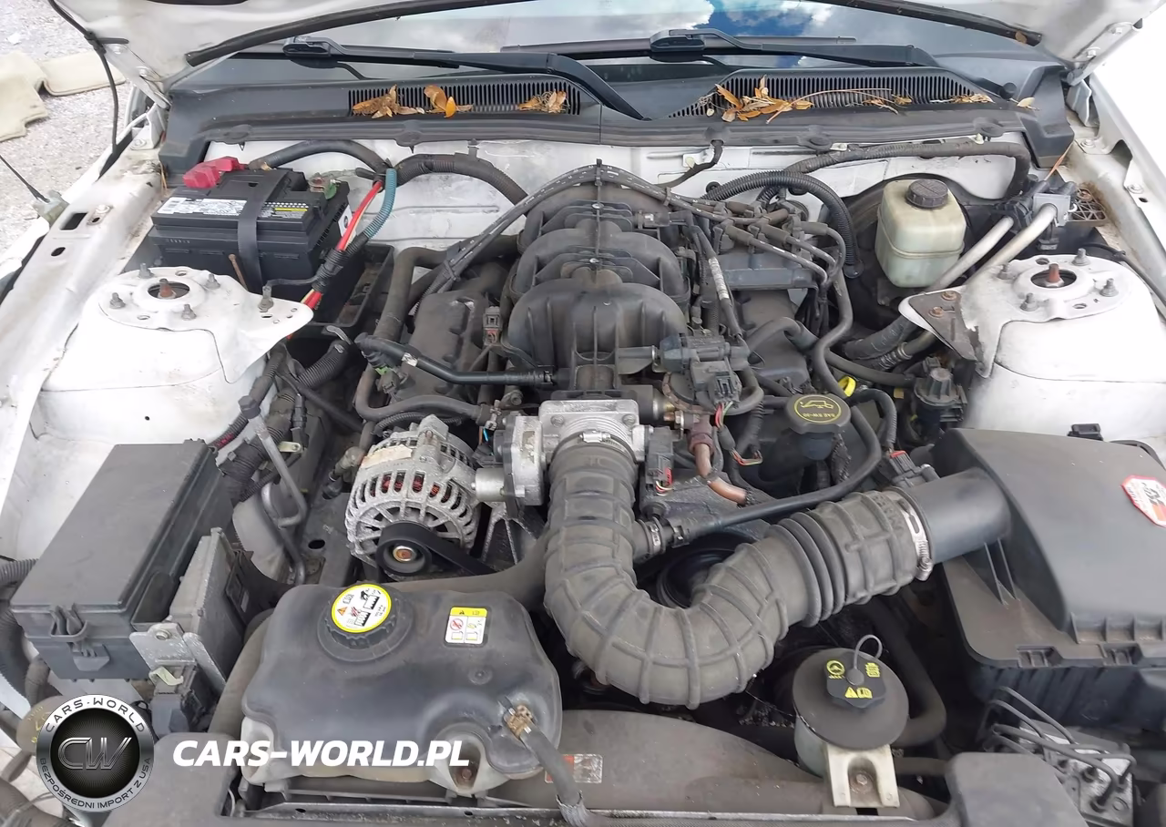2006 Ford Mustang V6 VIN:1ZVFT84N665127110 - 10