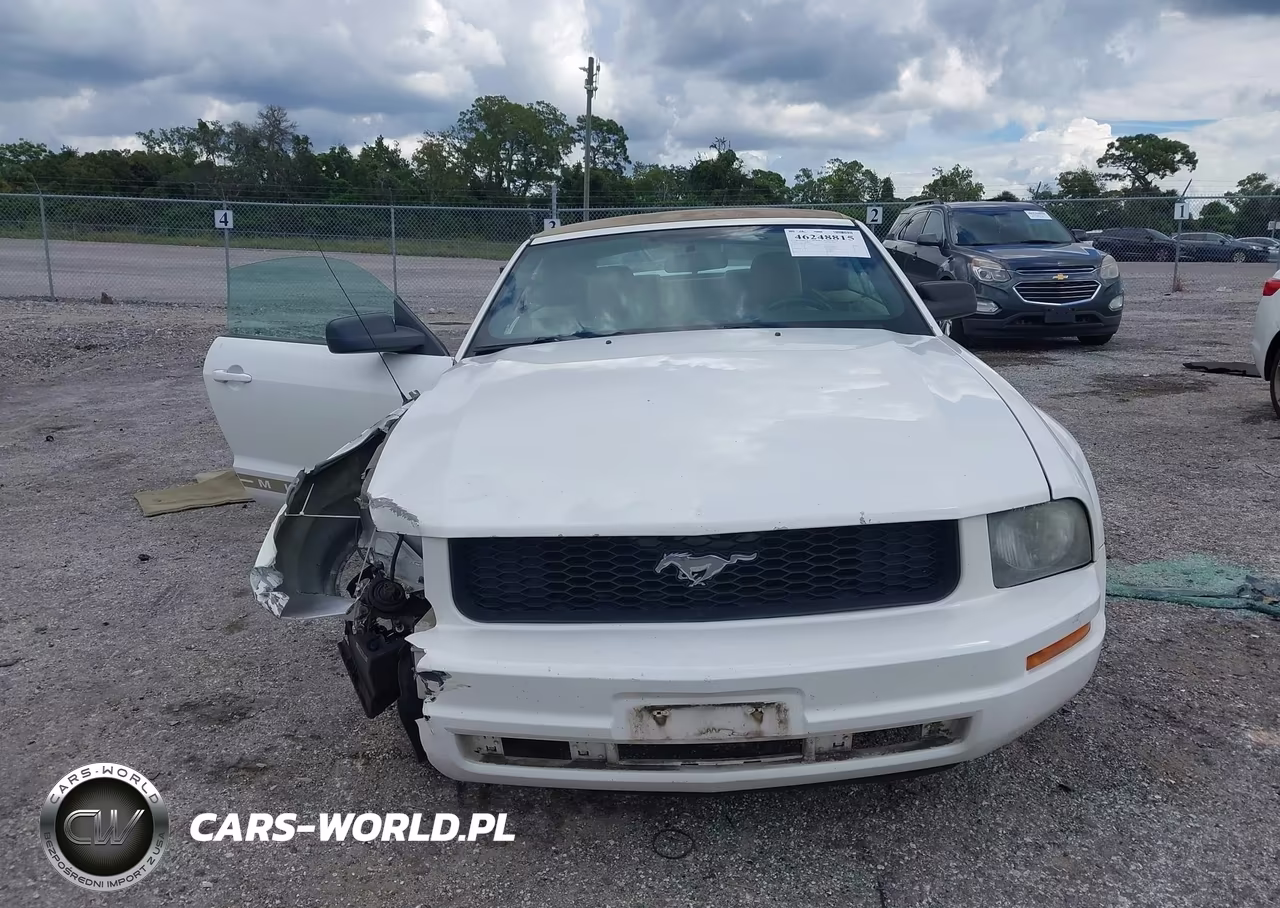 2006 Ford Mustang V6 VIN:1ZVFT84N665127110 - 12