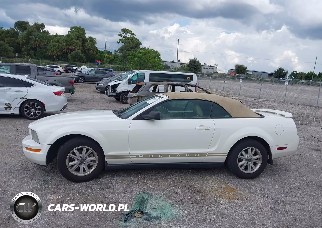 2006 Ford Mustang V6 VIN:1ZVFT84N665127110 - 14