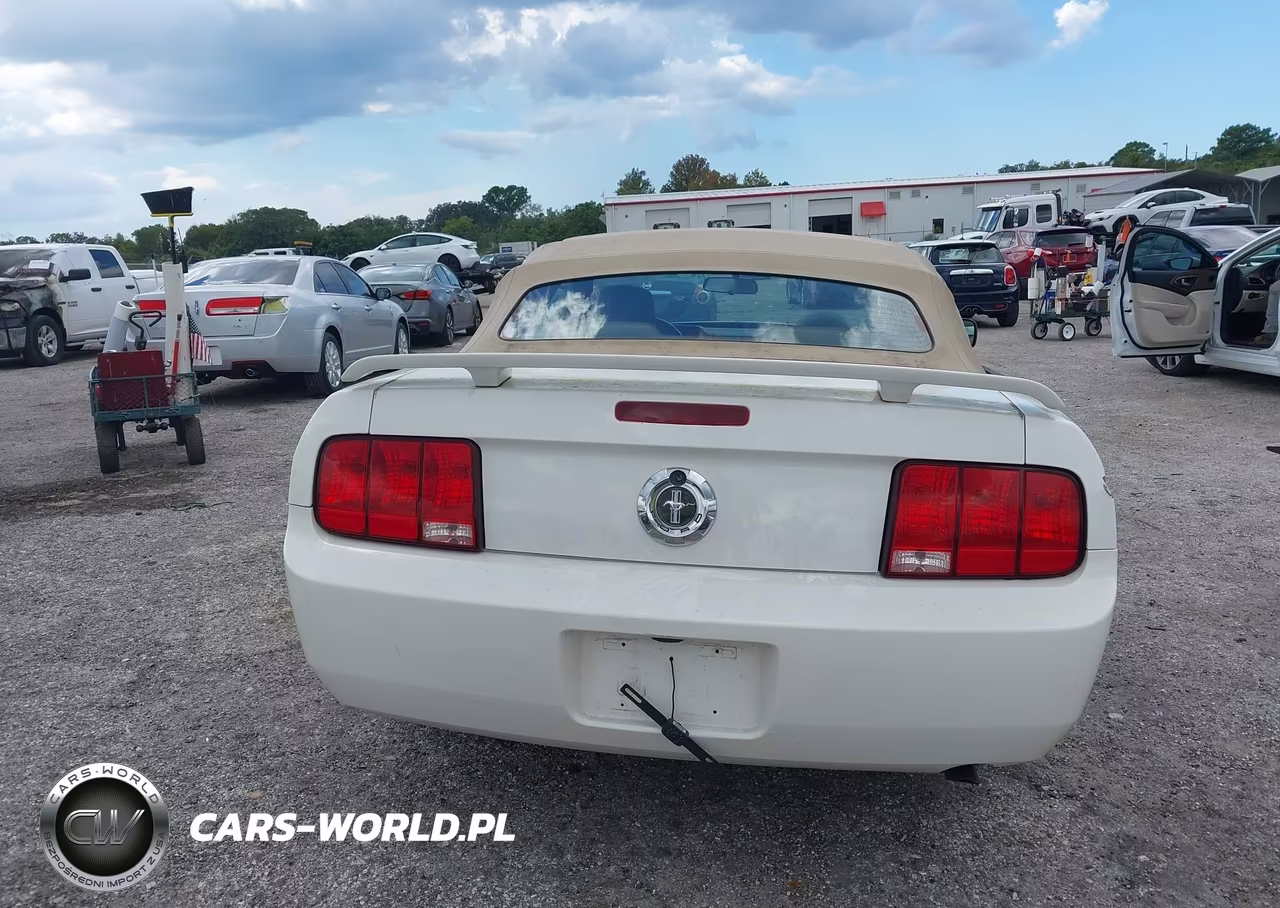 2006 Ford Mustang V6 VIN:1ZVFT84N665127110 - 16