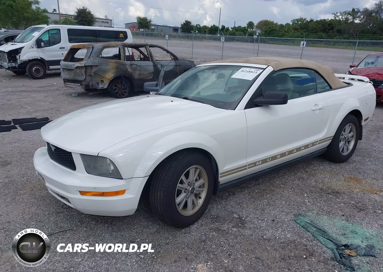 2006 Ford Mustang V6 VIN:1ZVFT84N665127110 - 2