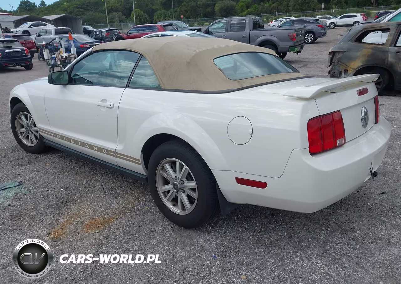 2006 Ford Mustang V6 VIN:1ZVFT84N665127110 - 3