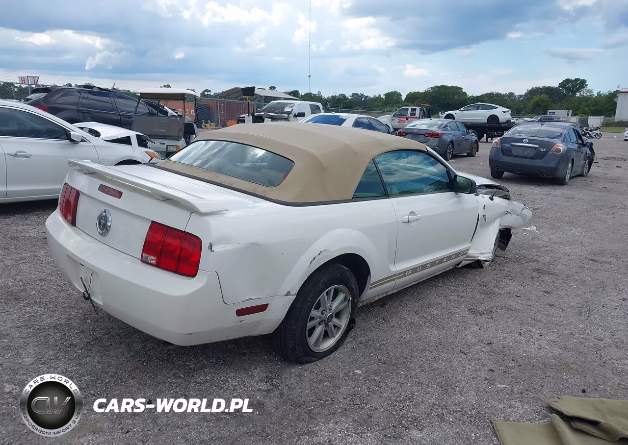 2006 Ford Mustang V6 VIN:1ZVFT84N665127110 - 4