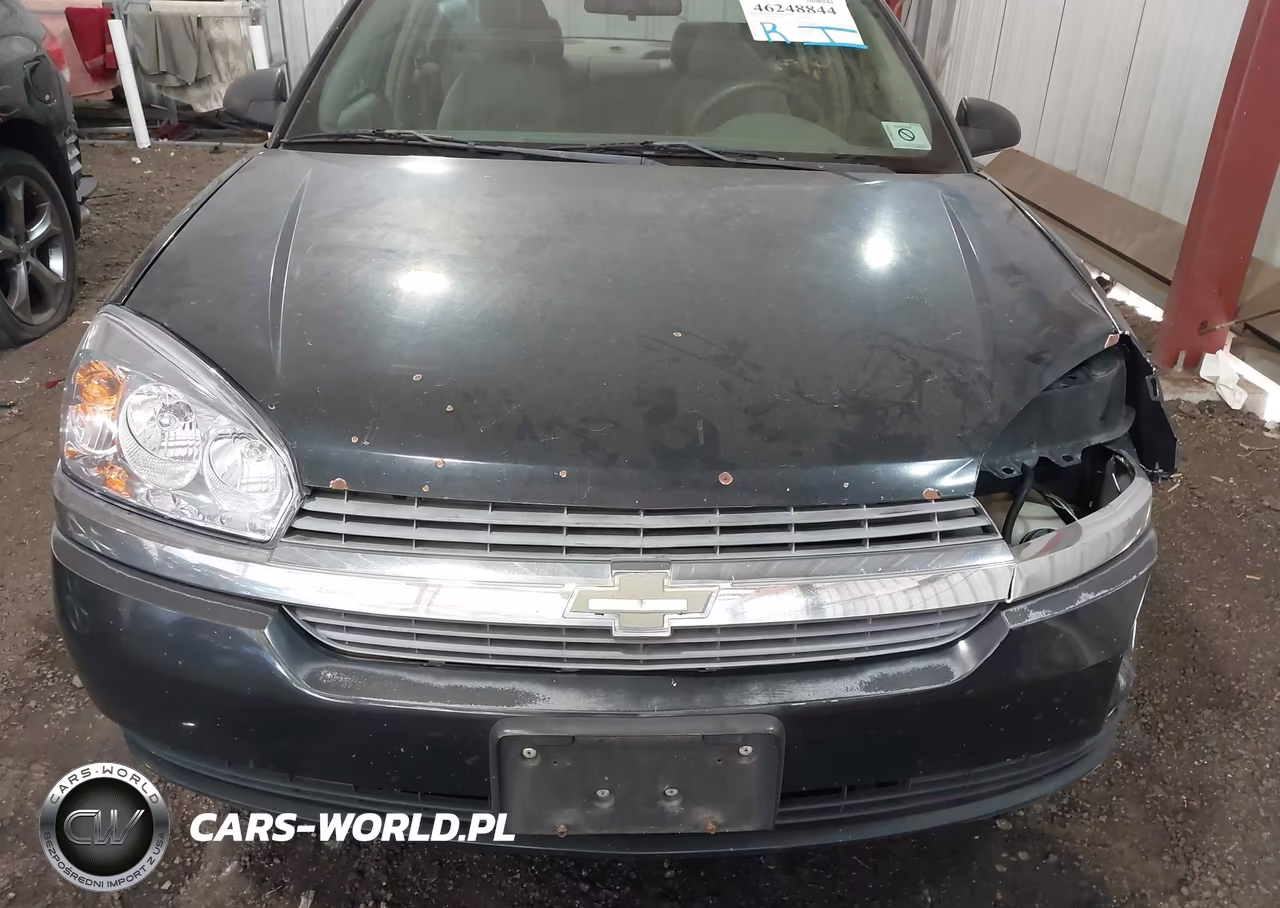 2005 Chevrolet Malibu VIN:1G1ZS52825F257918 - 10