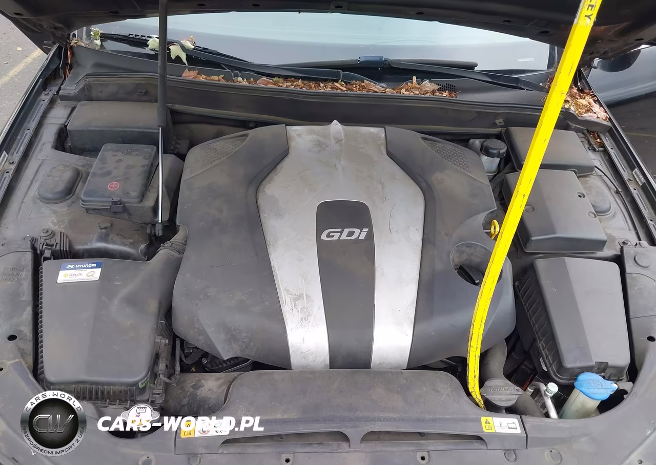 2014 Hyundai Genesis 3.8 VIN:KMHGC4DD2EU265234 - 10