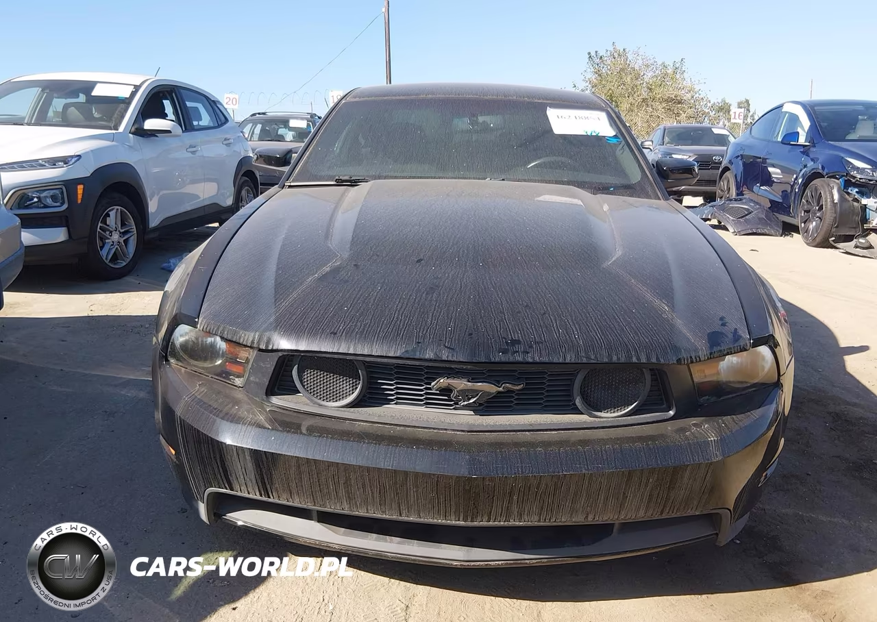 2012 Ford Mustang Gt Premium VIN:1ZVBP8CF6C5209704 - 12