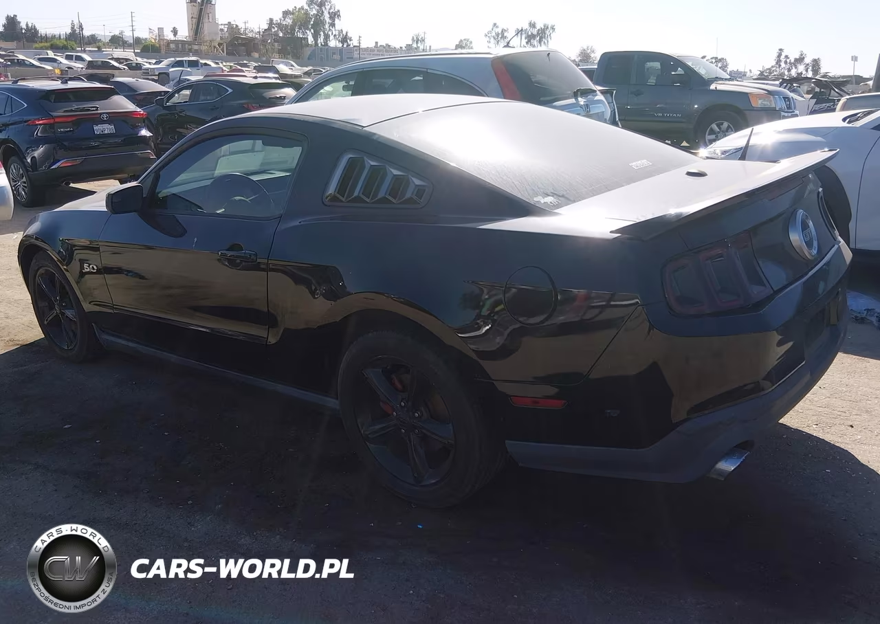 2012 Ford Mustang Gt Premium VIN:1ZVBP8CF6C5209704 - 3