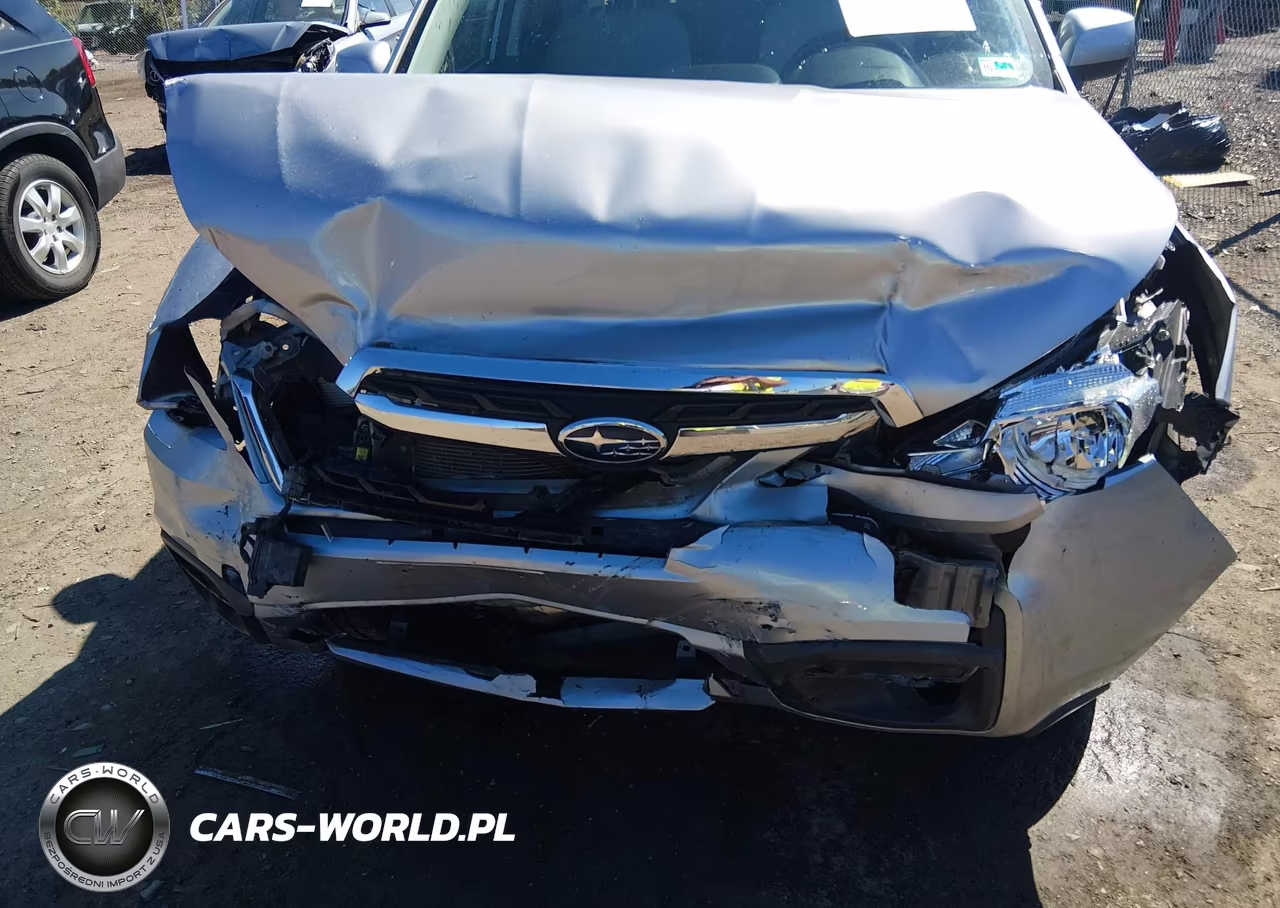 2017 Subaru Forester 2.5I Premium VIN:JF2SJAEC6HH400903 - 6