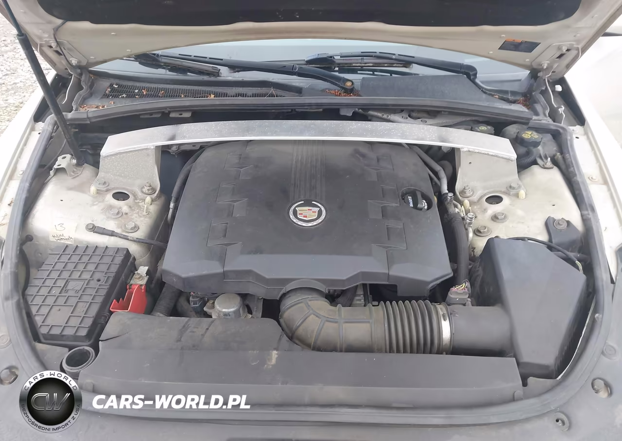 2010 Cadillac Cts Luxury VIN:1G6DE5EG5A0132214 - 10