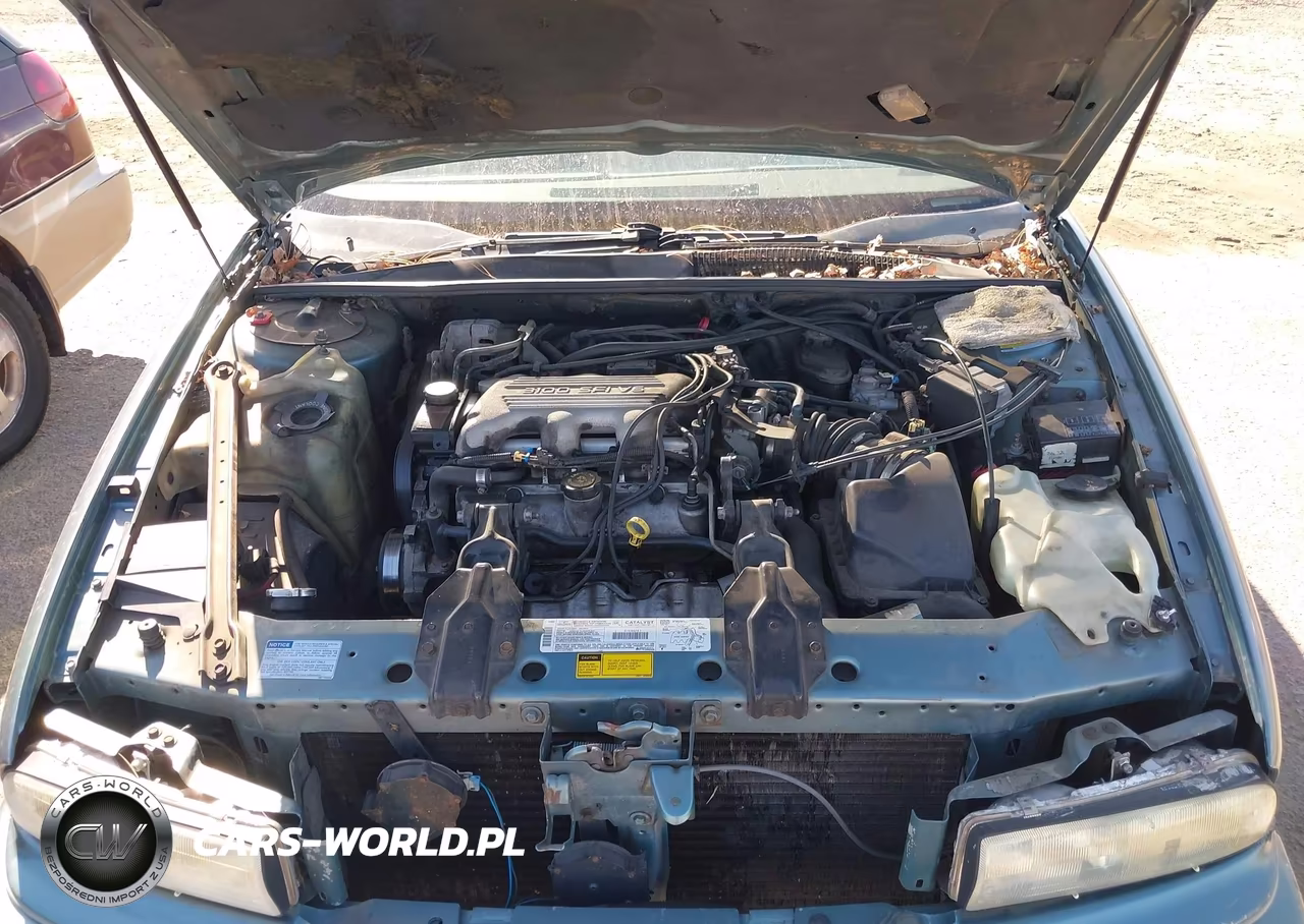 1996 Buick Regal Custom VIN:2G4WB52M1T1496206 - 10