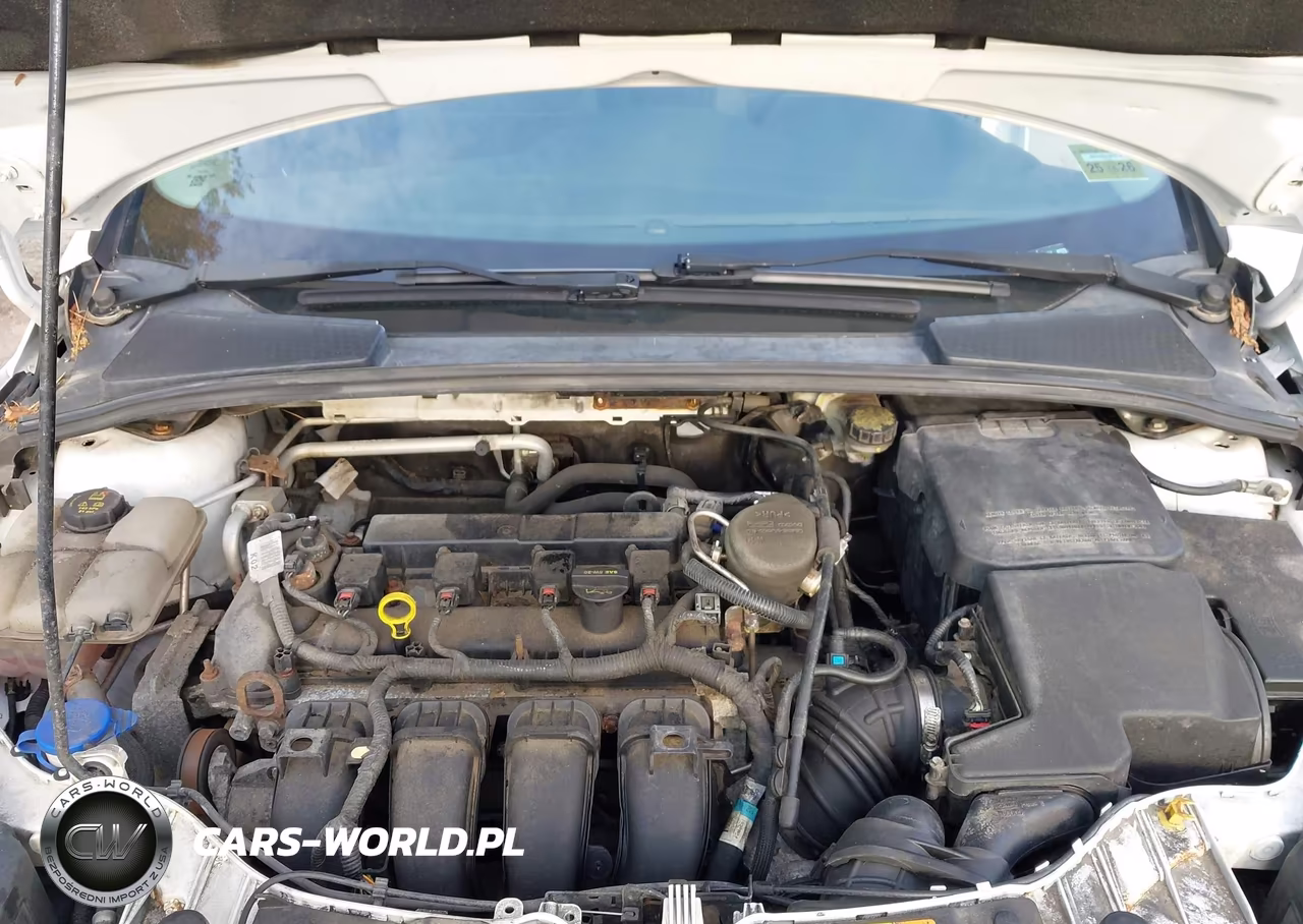 2014 Ford Focus Se VIN:1FADP3F24EL201564 - 10