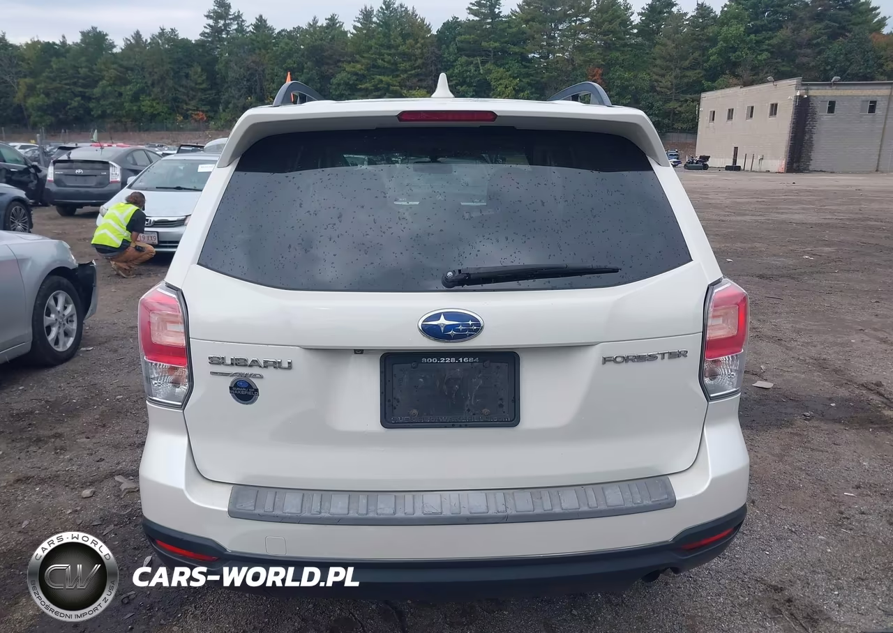 2018 Subaru Forester 2.5I Premium VIN:JF2SJAEC1JG614175 - 17