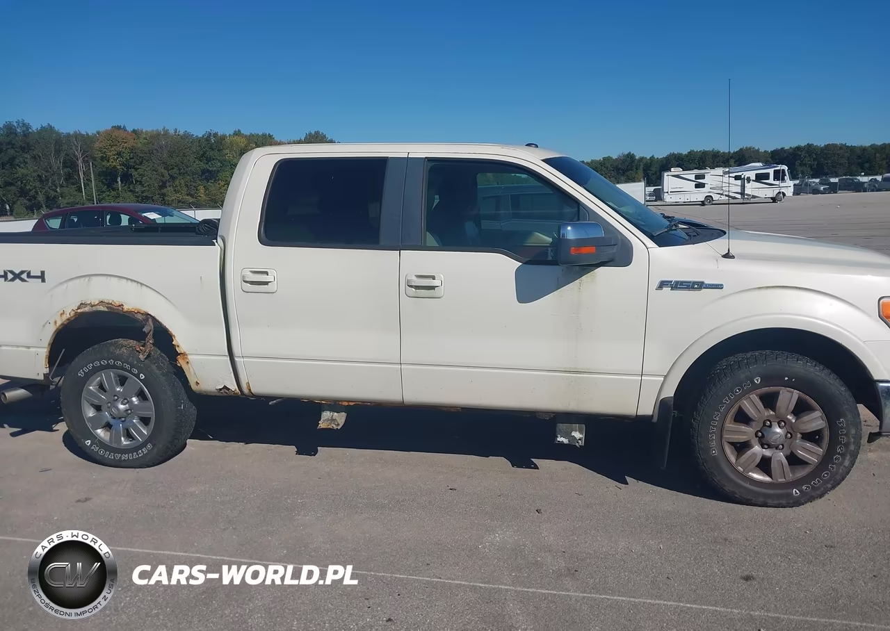 2009 Ford F-150 Fx4-King Ranch-Lariat-Platinum-Xl-Xlt VIN:1FTPW14V39KC26415 - 13