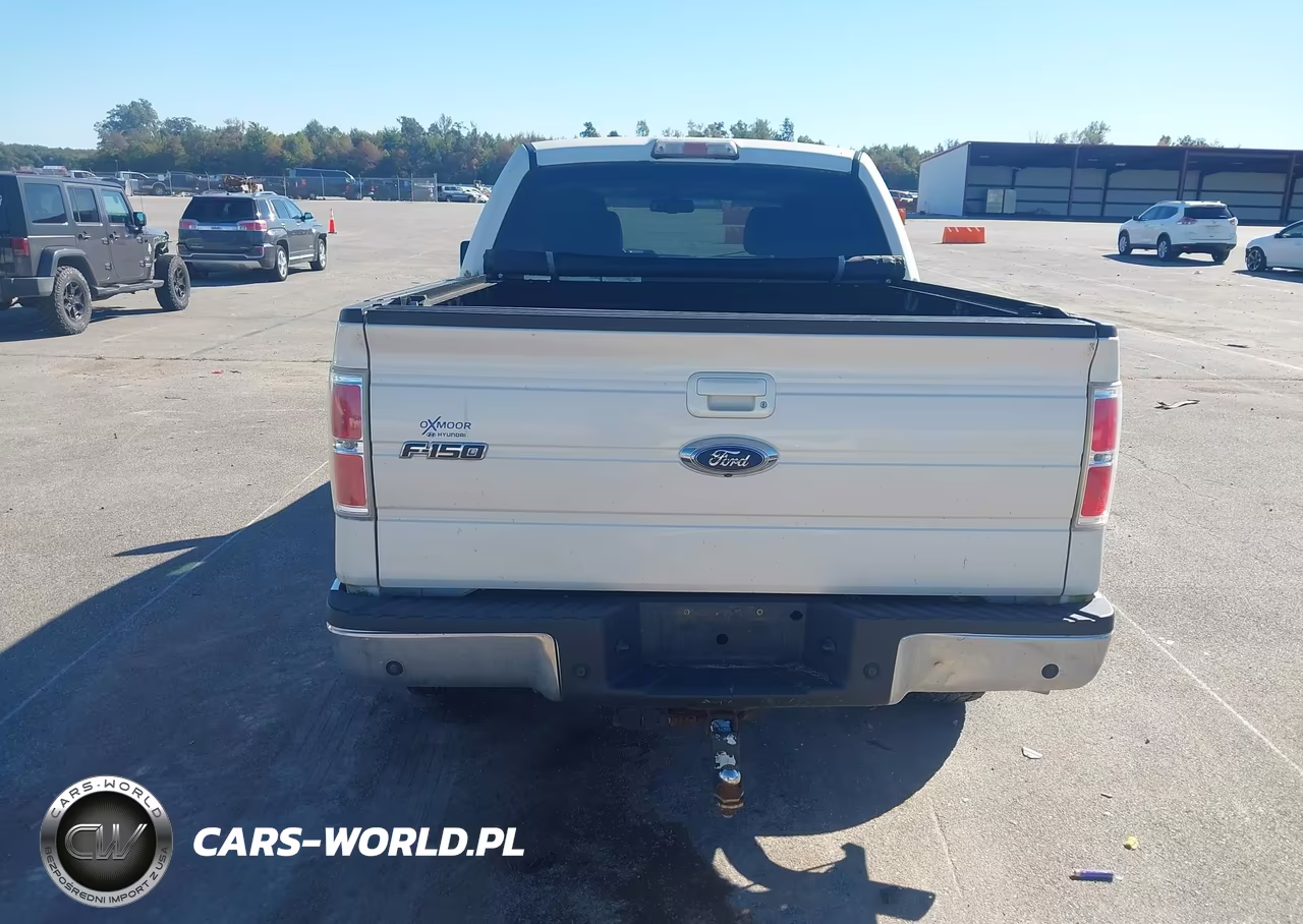 2009 Ford F-150 Fx4-King Ranch-Lariat-Platinum-Xl-Xlt VIN:1FTPW14V39KC26415 - 16