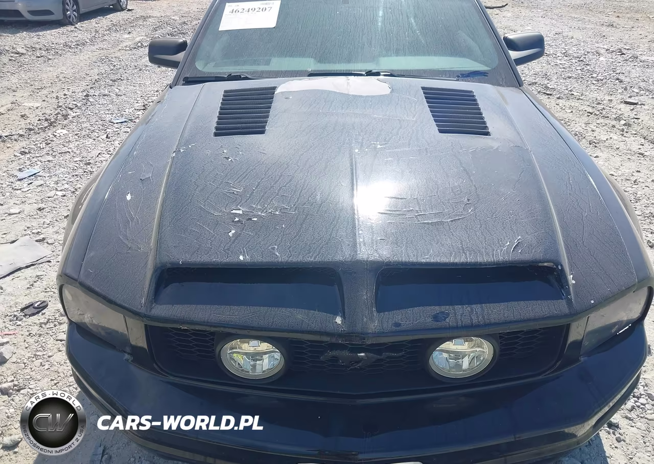 2005 Ford Mustang V6 Deluxe-V6 Premium VIN:1ZVFT80N455145299 - 10