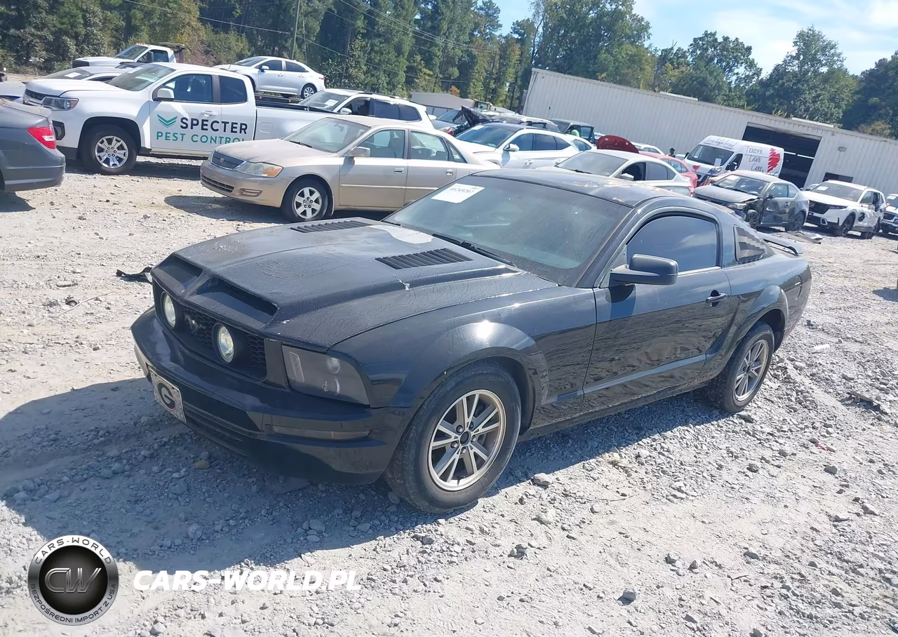 2005 Ford Mustang V6 Deluxe-V6 Premium VIN:1ZVFT80N455145299 - 2
