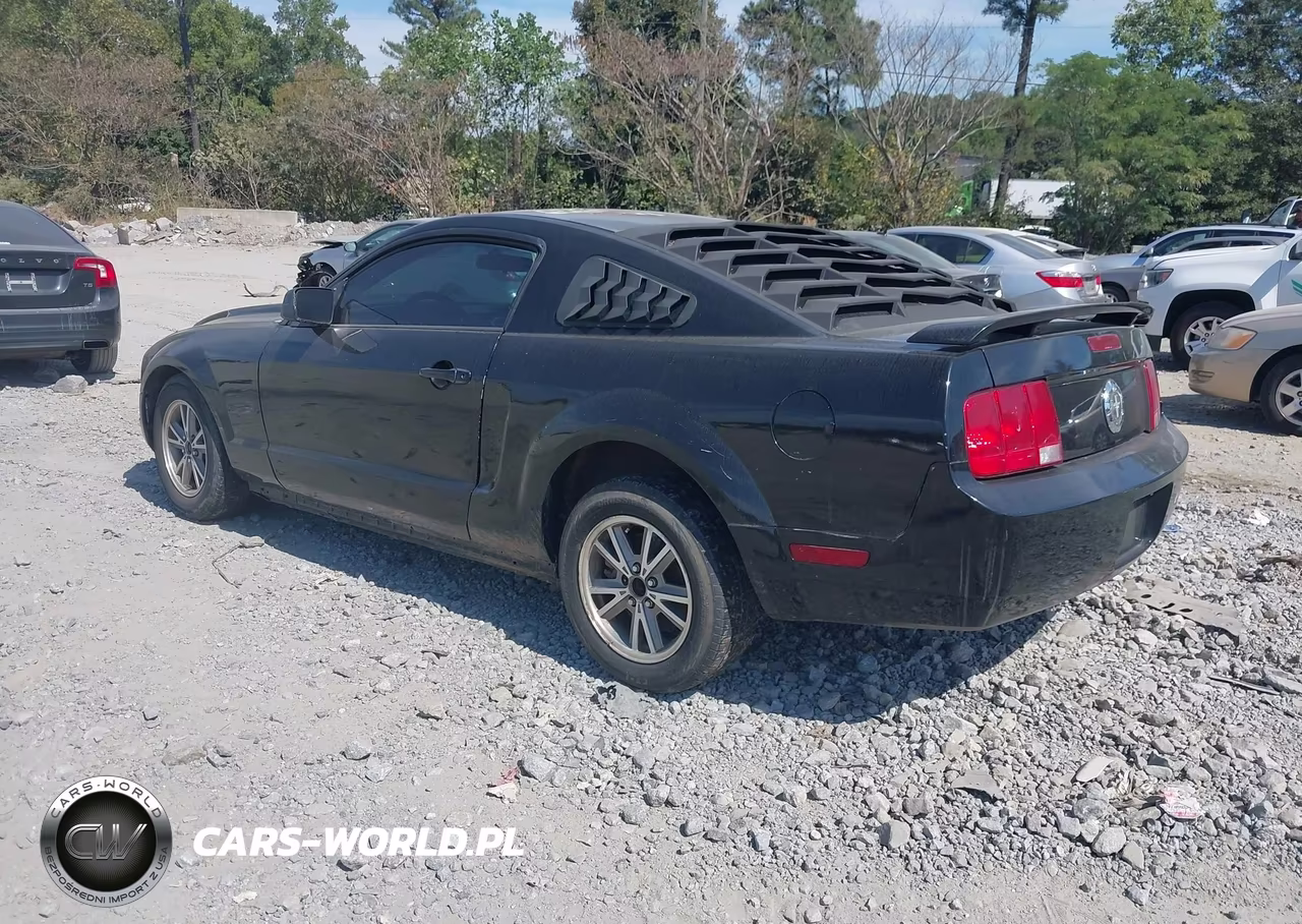 2005 Ford Mustang V6 Deluxe-V6 Premium VIN:1ZVFT80N455145299 - 3