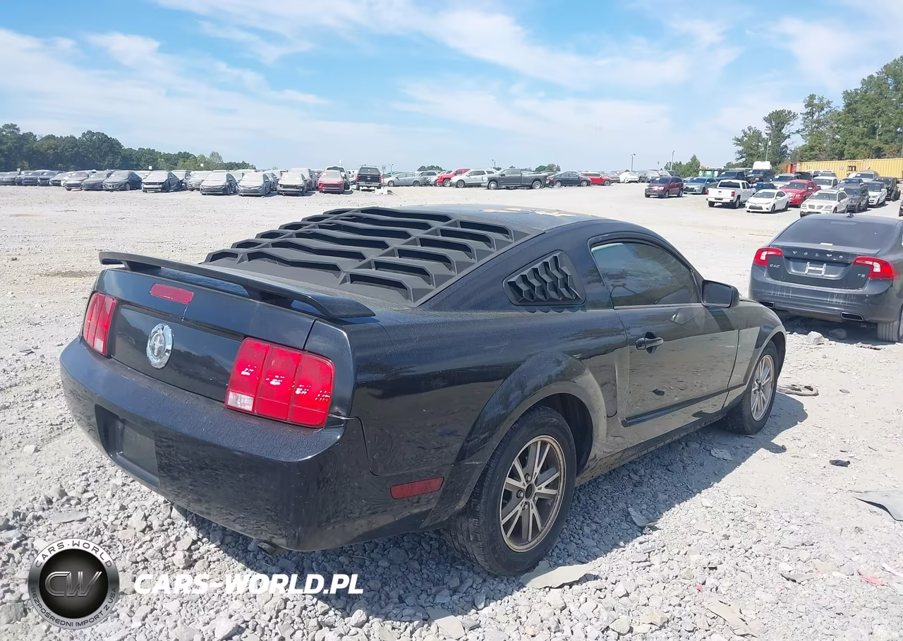 2005 Ford Mustang V6 Deluxe-V6 Premium VIN:1ZVFT80N455145299 - 4
