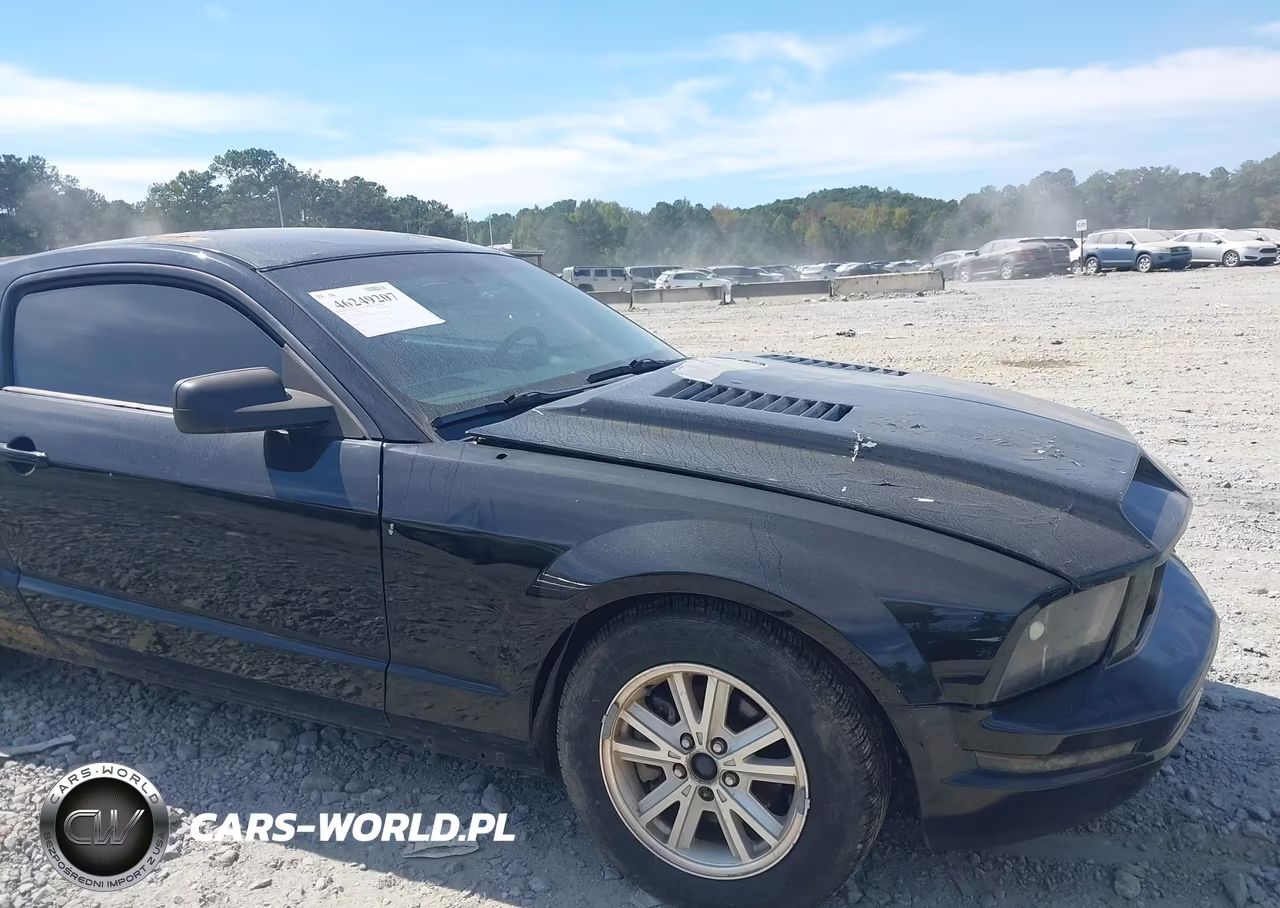 2005 Ford Mustang V6 Deluxe-V6 Premium VIN:1ZVFT80N455145299 - 6