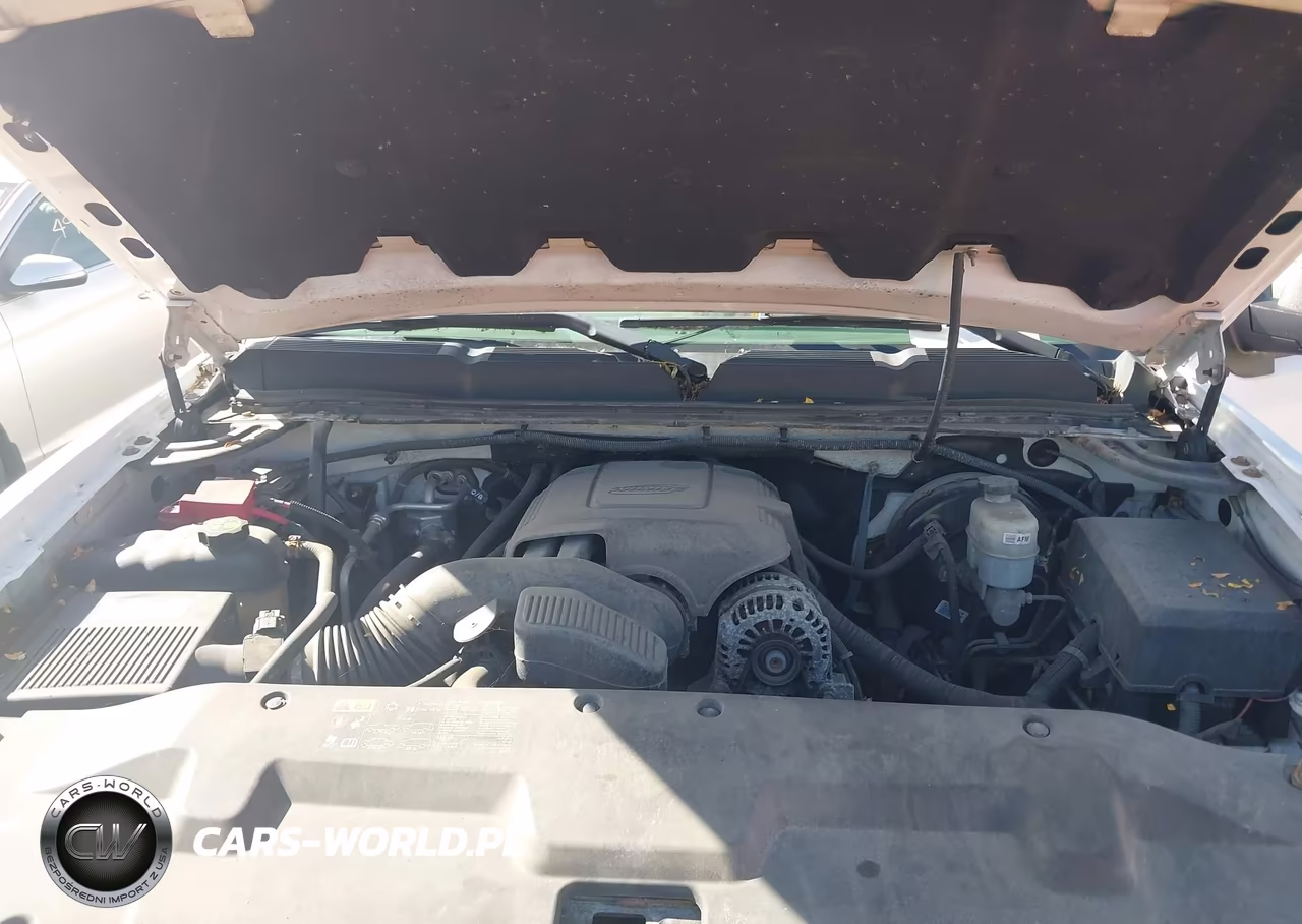 2013 Chevrolet Silverado 1500 Work Truck VIN:1GCNCPE01DZ204399 - 10
