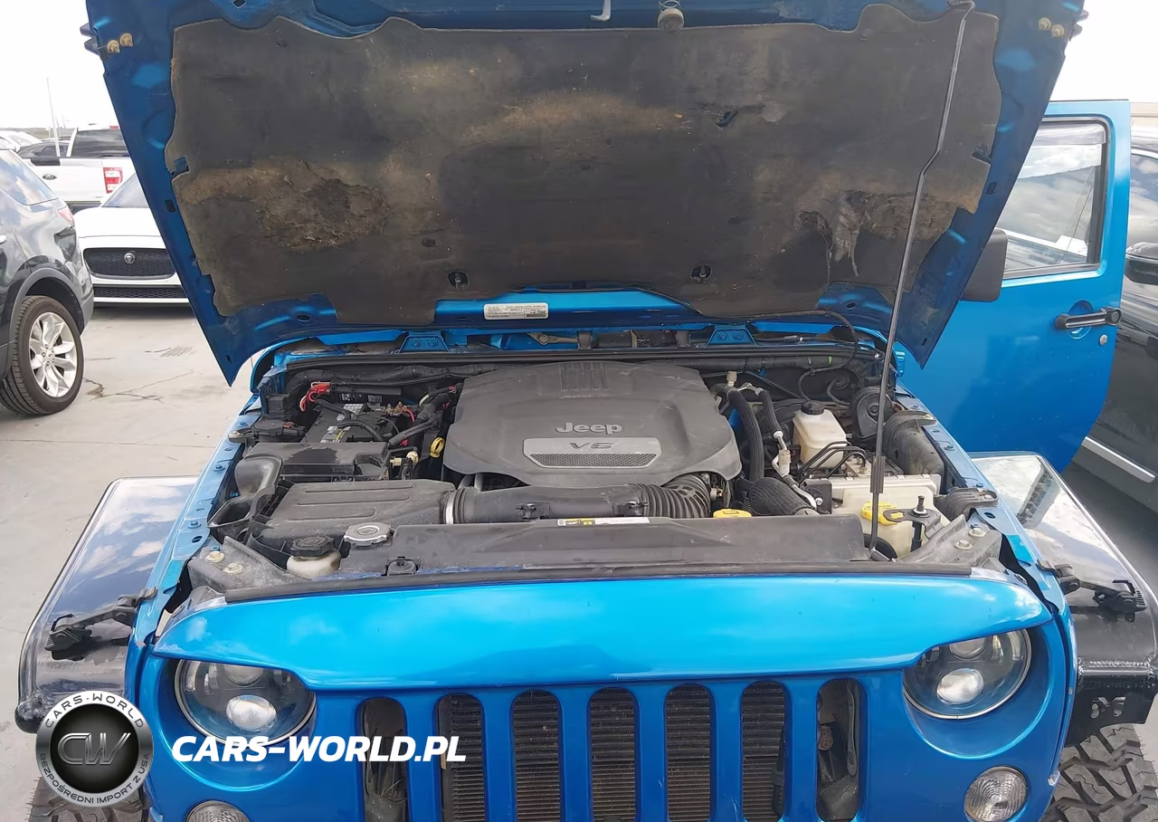2015 Jeep Wrangler Unlimited Rubicon VIN:1C4BJWFGXFL769335 - 10