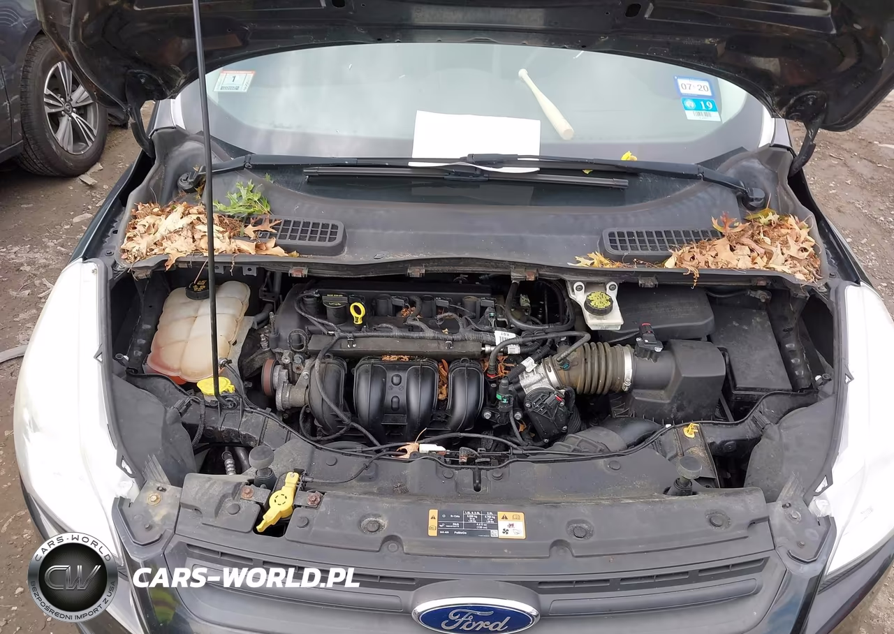 2015 Ford Escape S VIN:1FMCU0F79FUA47675 - 10