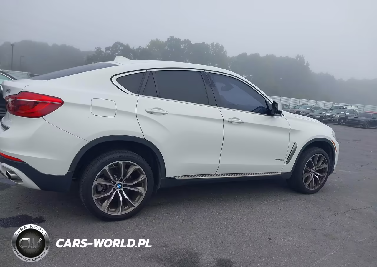 2016 BMW X6 xDrive35I VIN:5UXKU2C51G0N80075 - 13